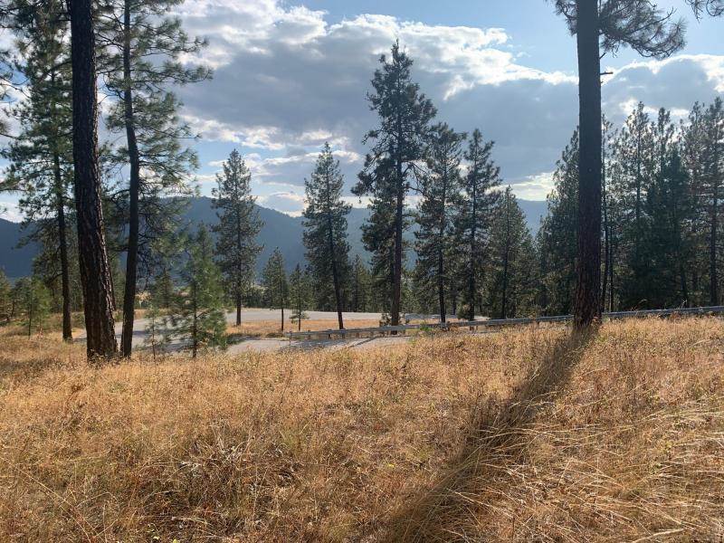 1618 Palmer Loop - Photo 5