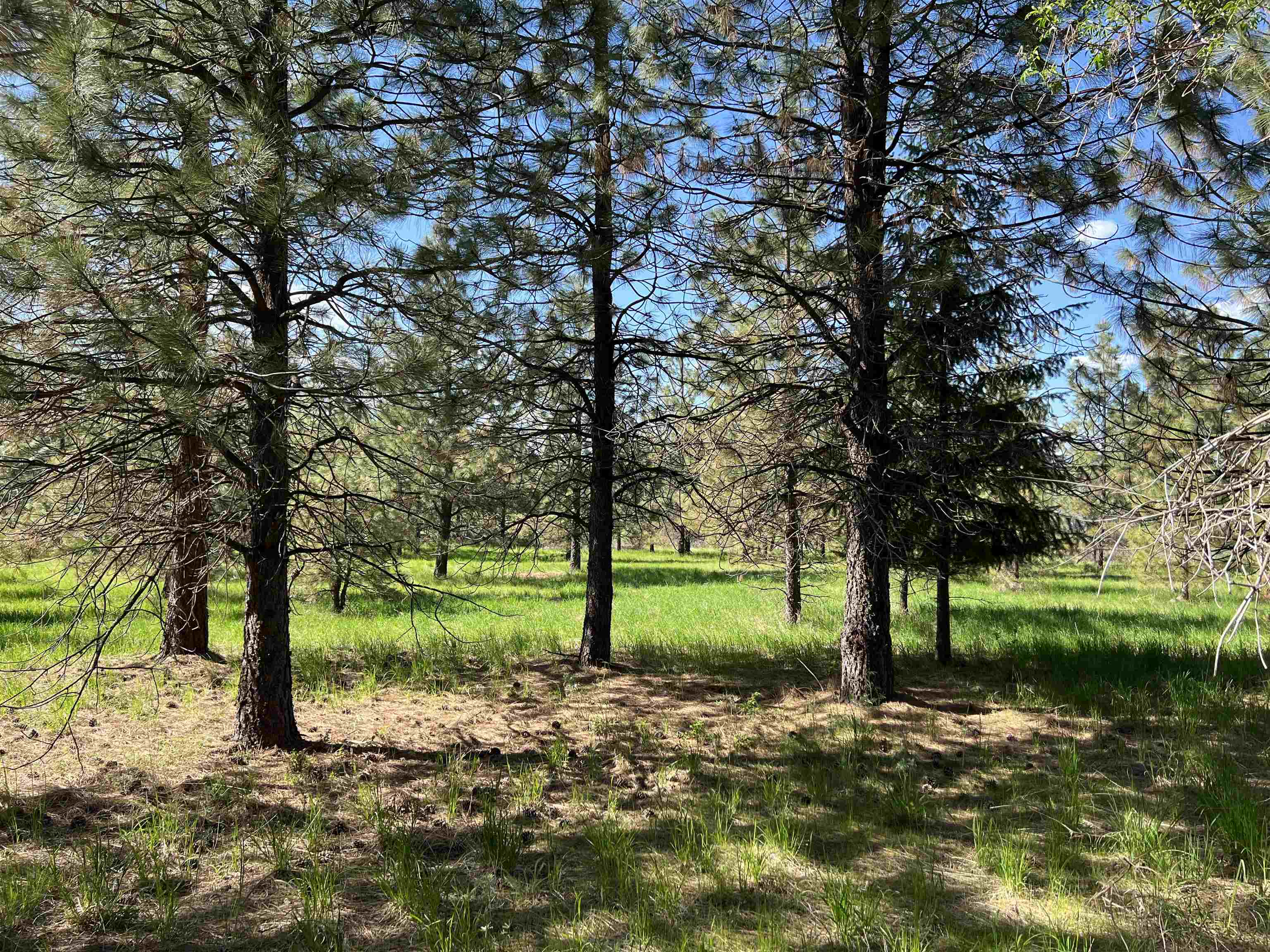 6531 Camp Na Bor Lee Rd - Photo 11
