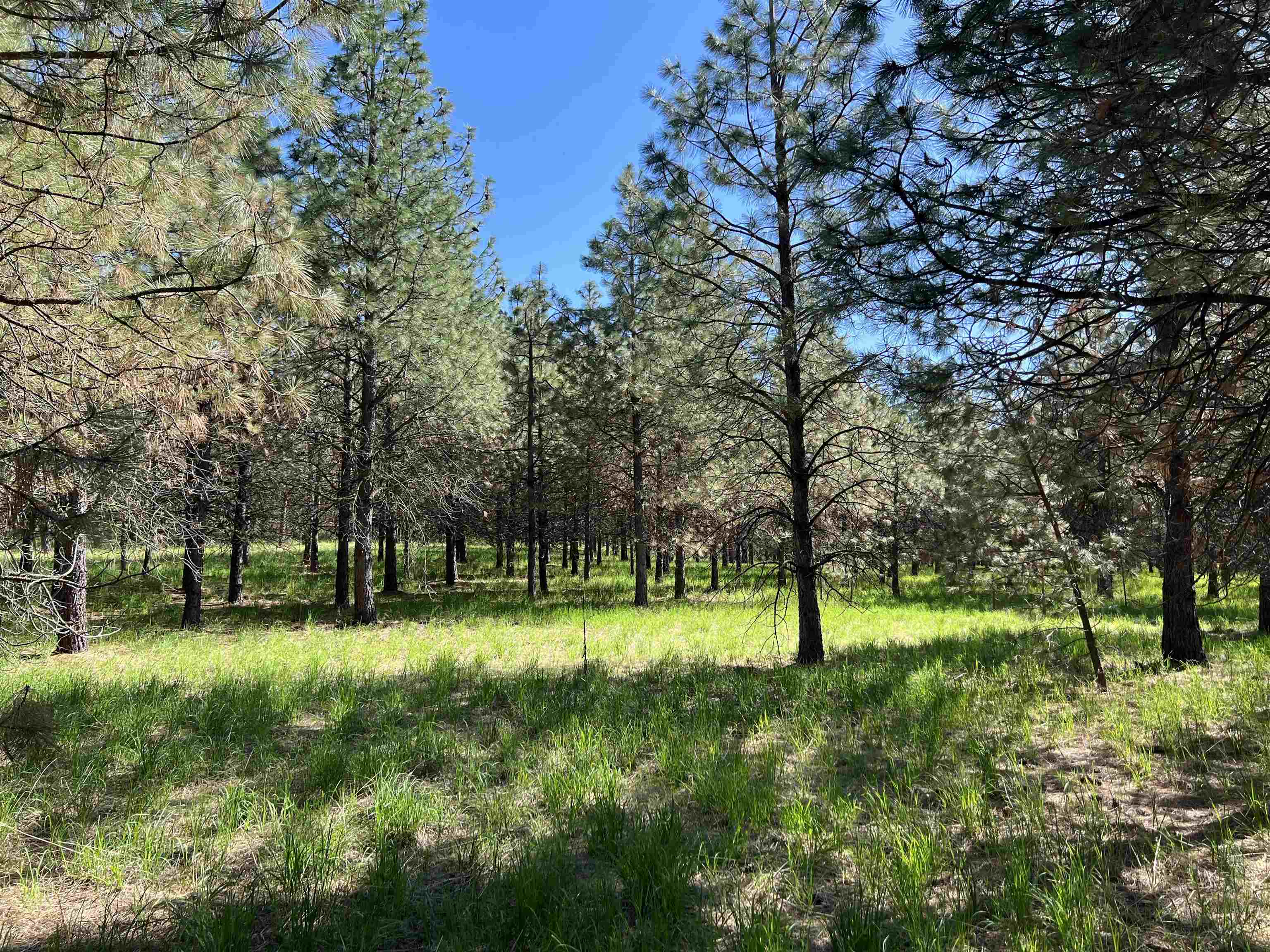 6531 Camp Na Bor Lee Rd - Photo 12