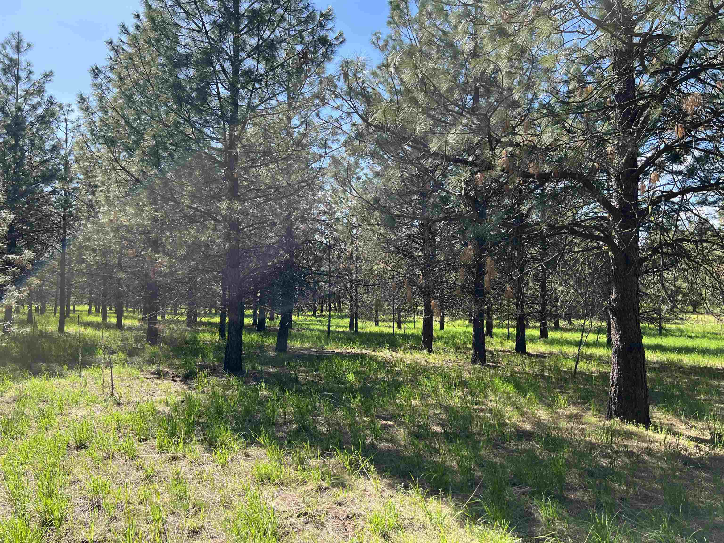 6531 Camp Na Bor Lee Rd - Photo 13