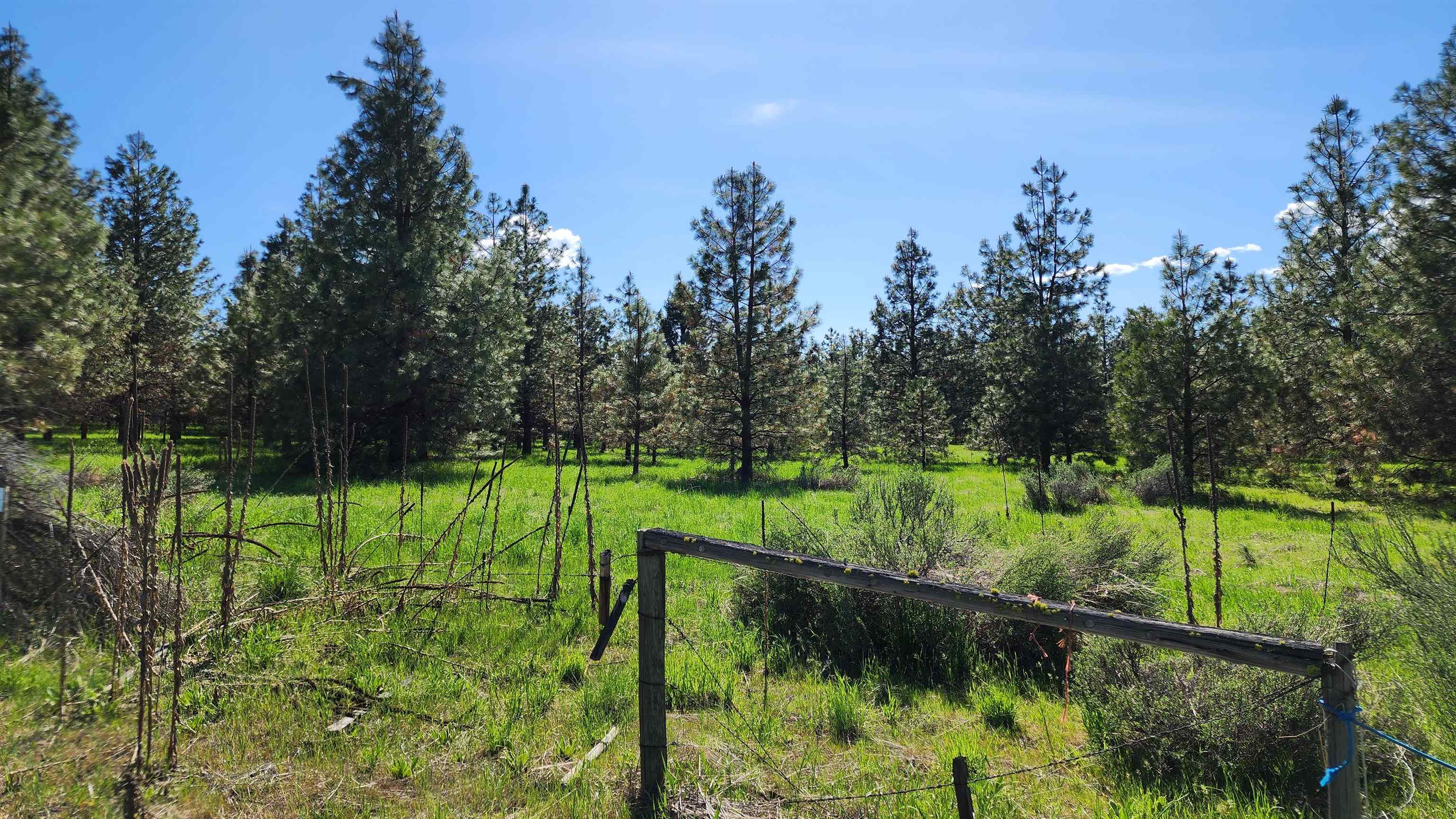 6531 Camp Na Bor Lee Rd - Photo 3