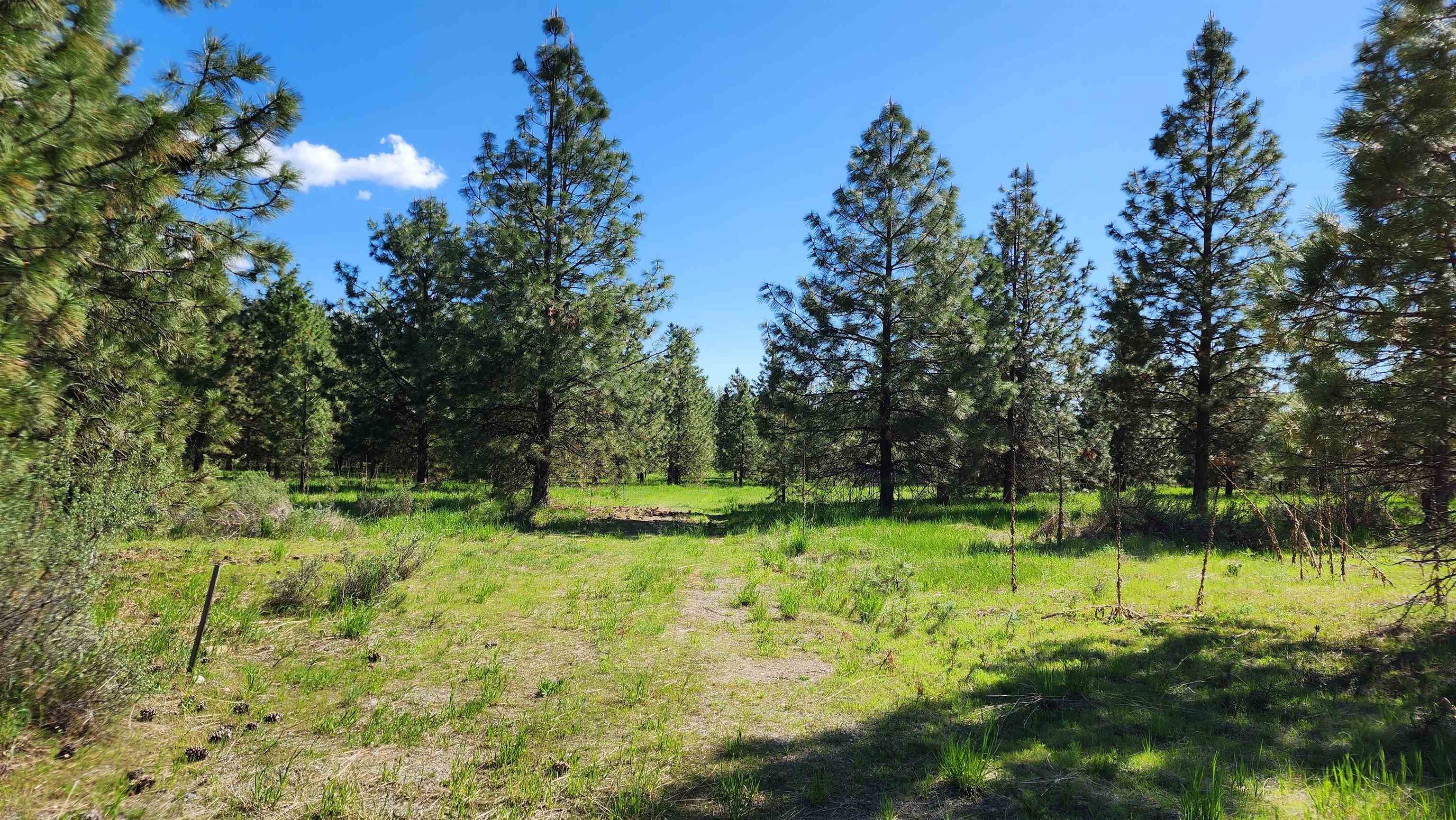 6531 Camp Na Bor Lee Rd - Photo 4