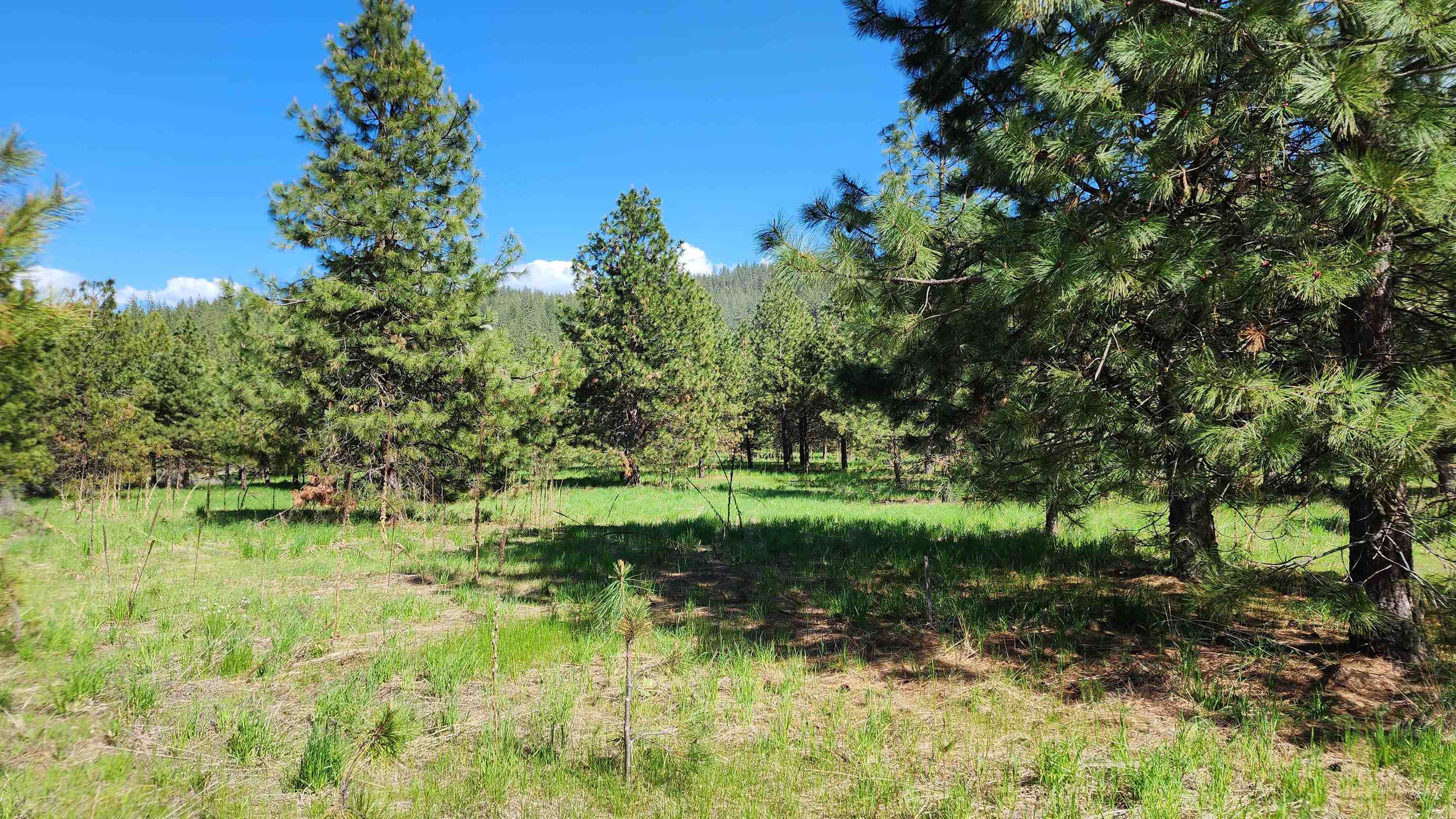 6531 Camp Na Bor Lee Rd - Photo 6