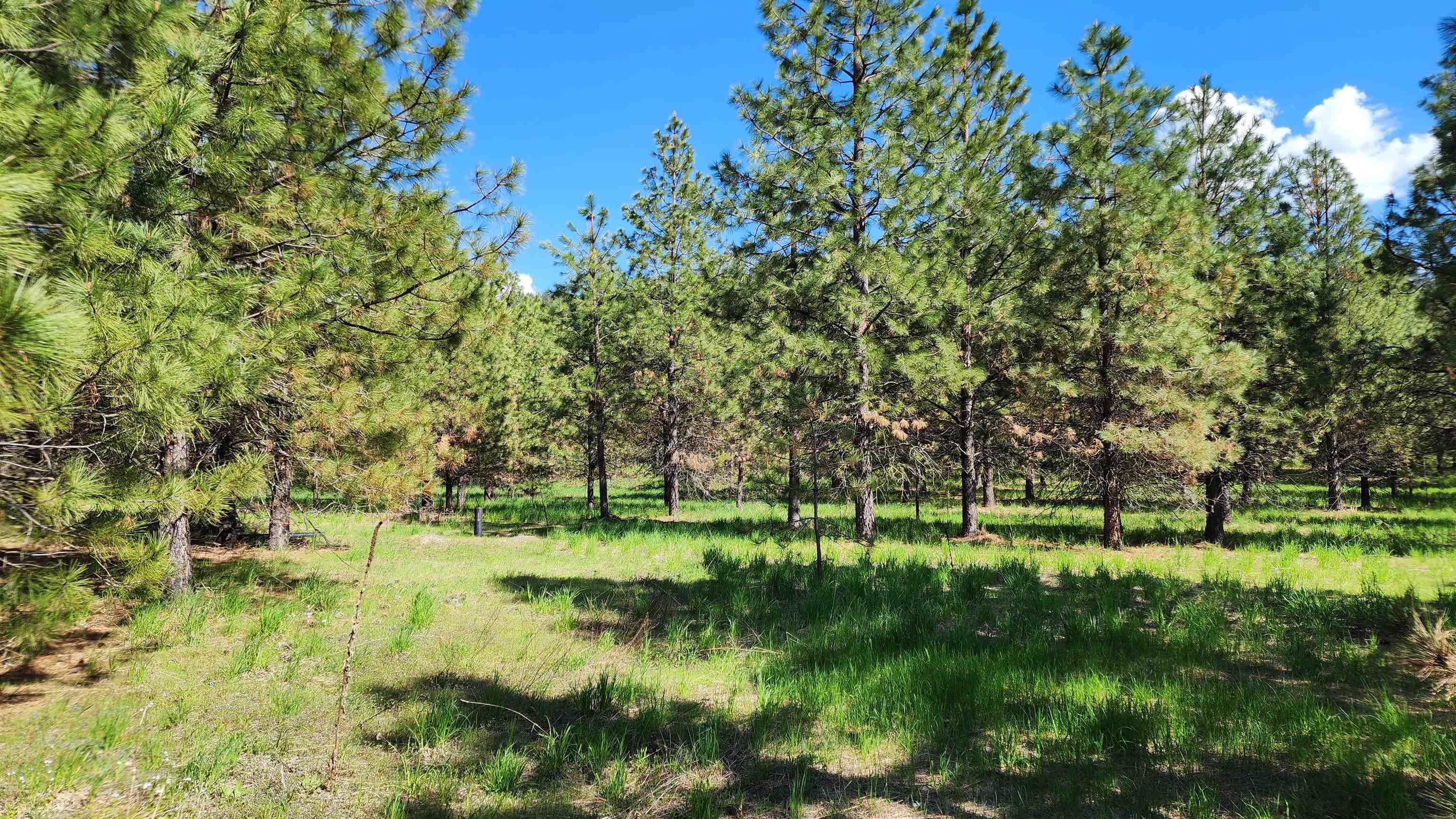 6531 Camp Na Bor Lee Rd - Photo 8