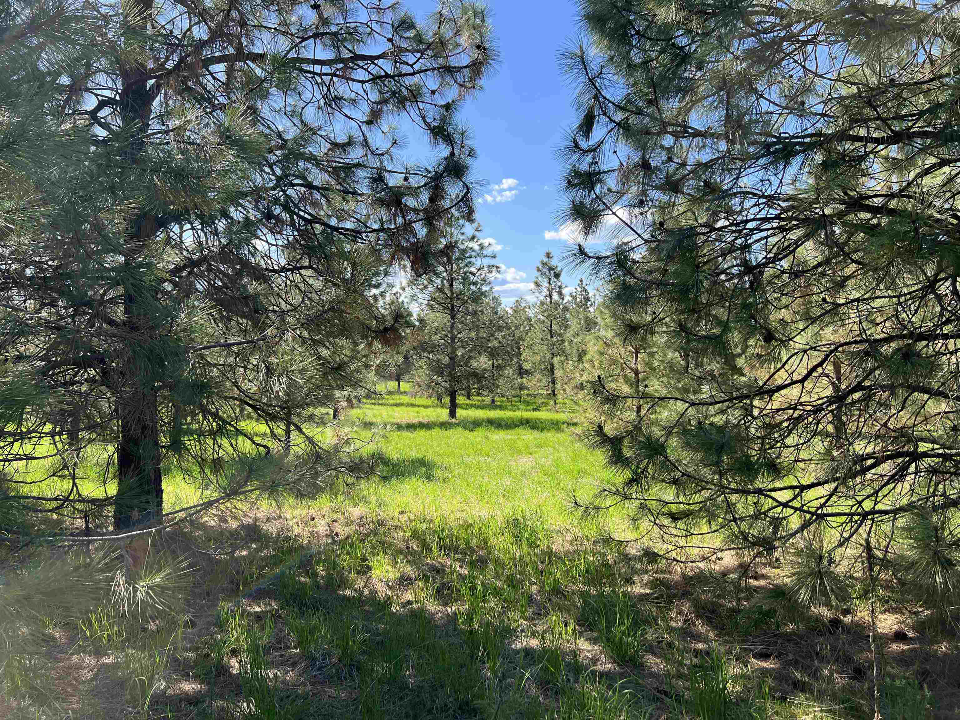 6531 Camp Na Bor Lee Rd - Photo 9