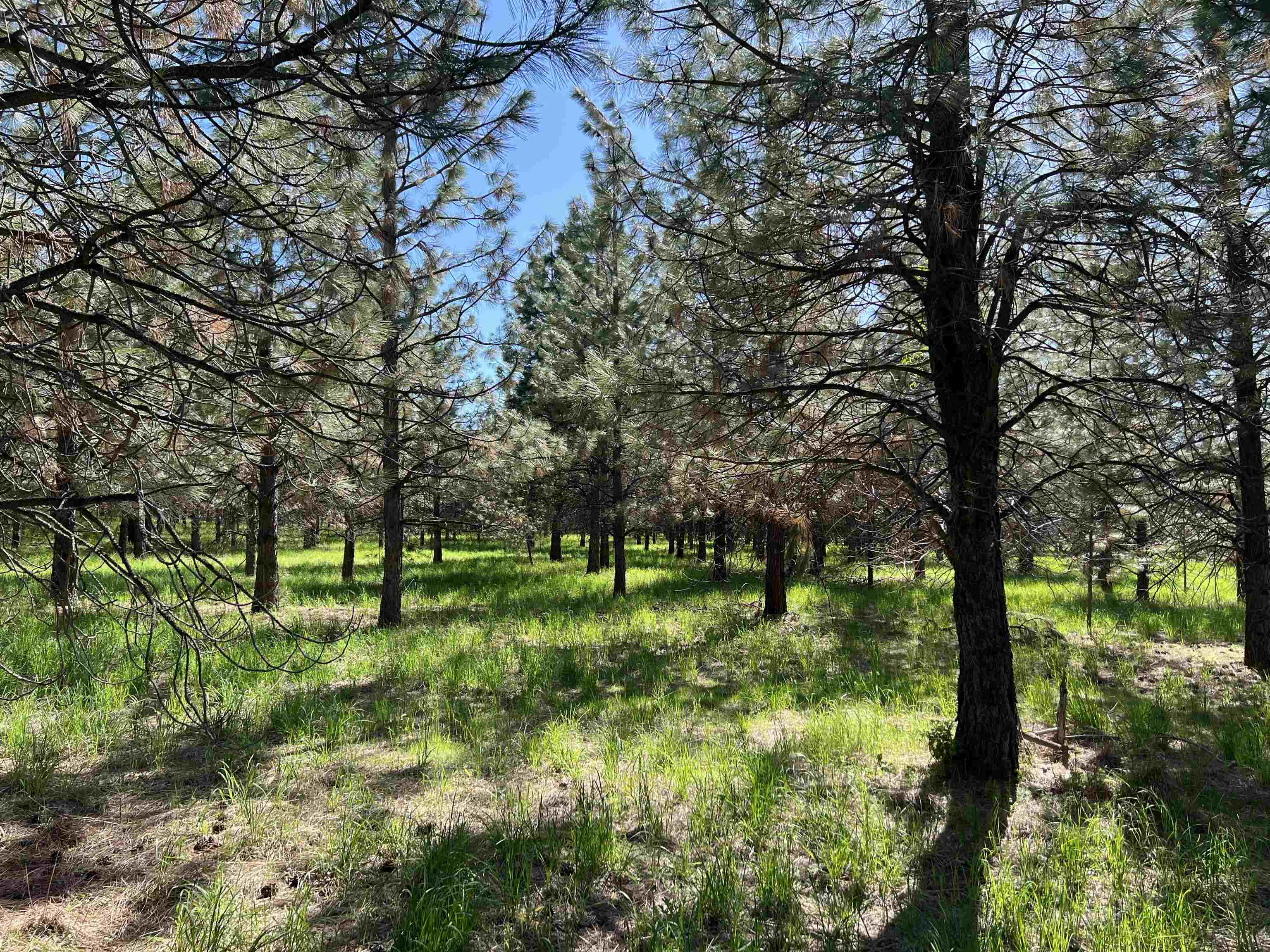 6531 Camp Na Bor Lee Rd - Photo 10