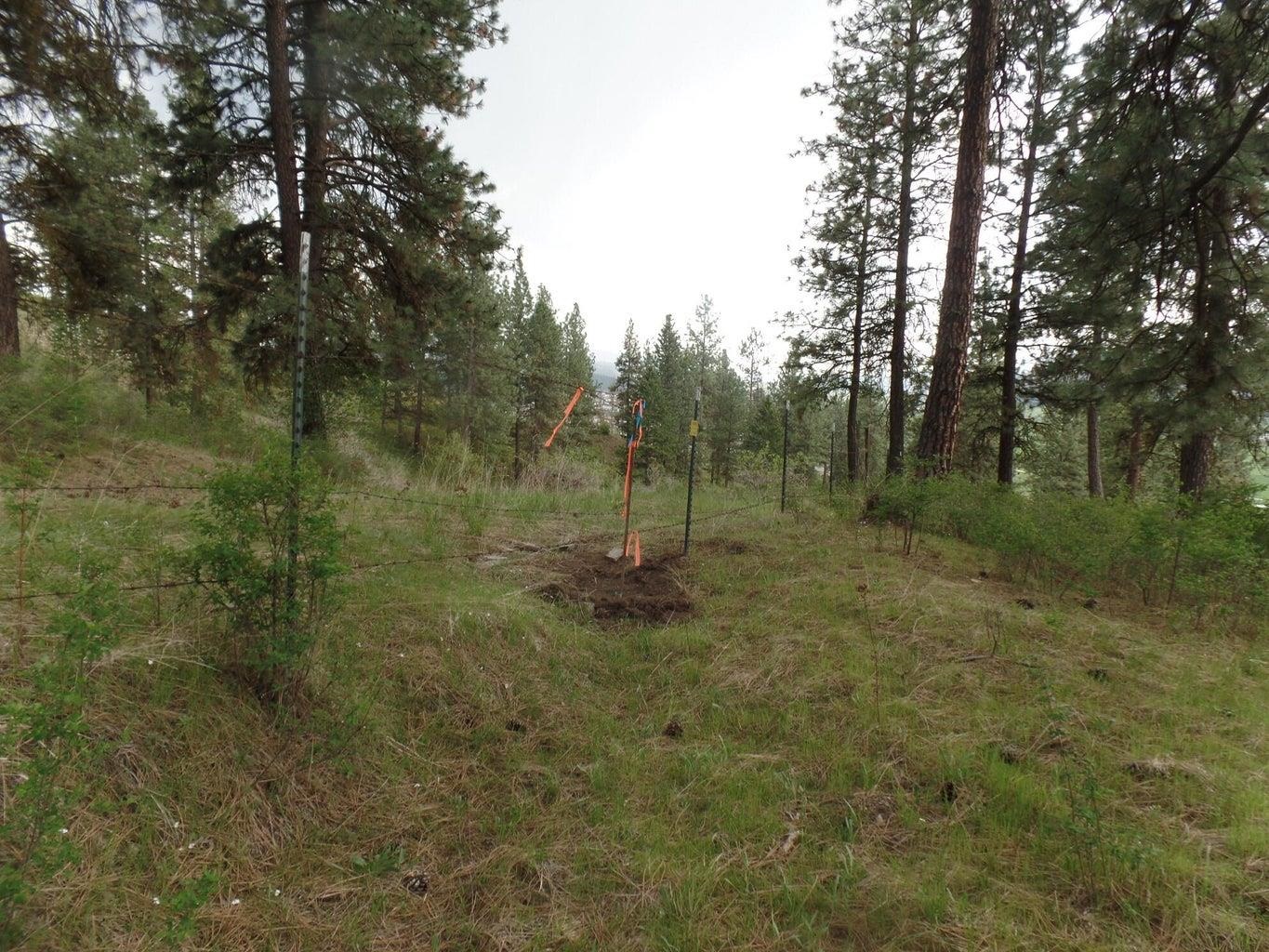 2XX Hwy 395 N #A Hwy - Photo 11