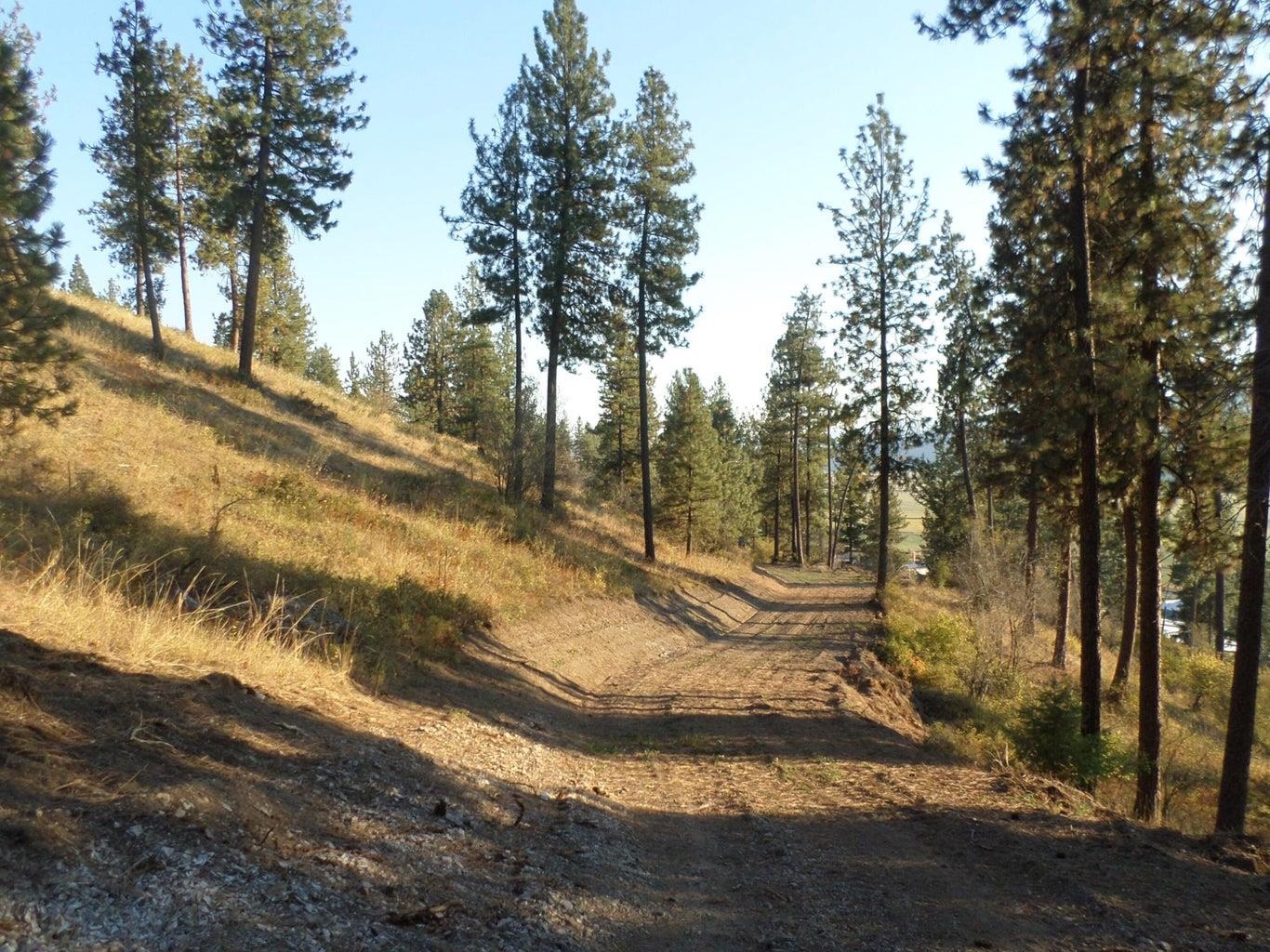 2XX Hwy 395 N #A Hwy - Photo 18