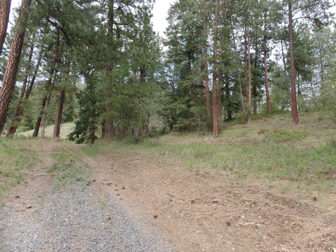 2XX Hwy 395 N #A Hwy - Photo 19
