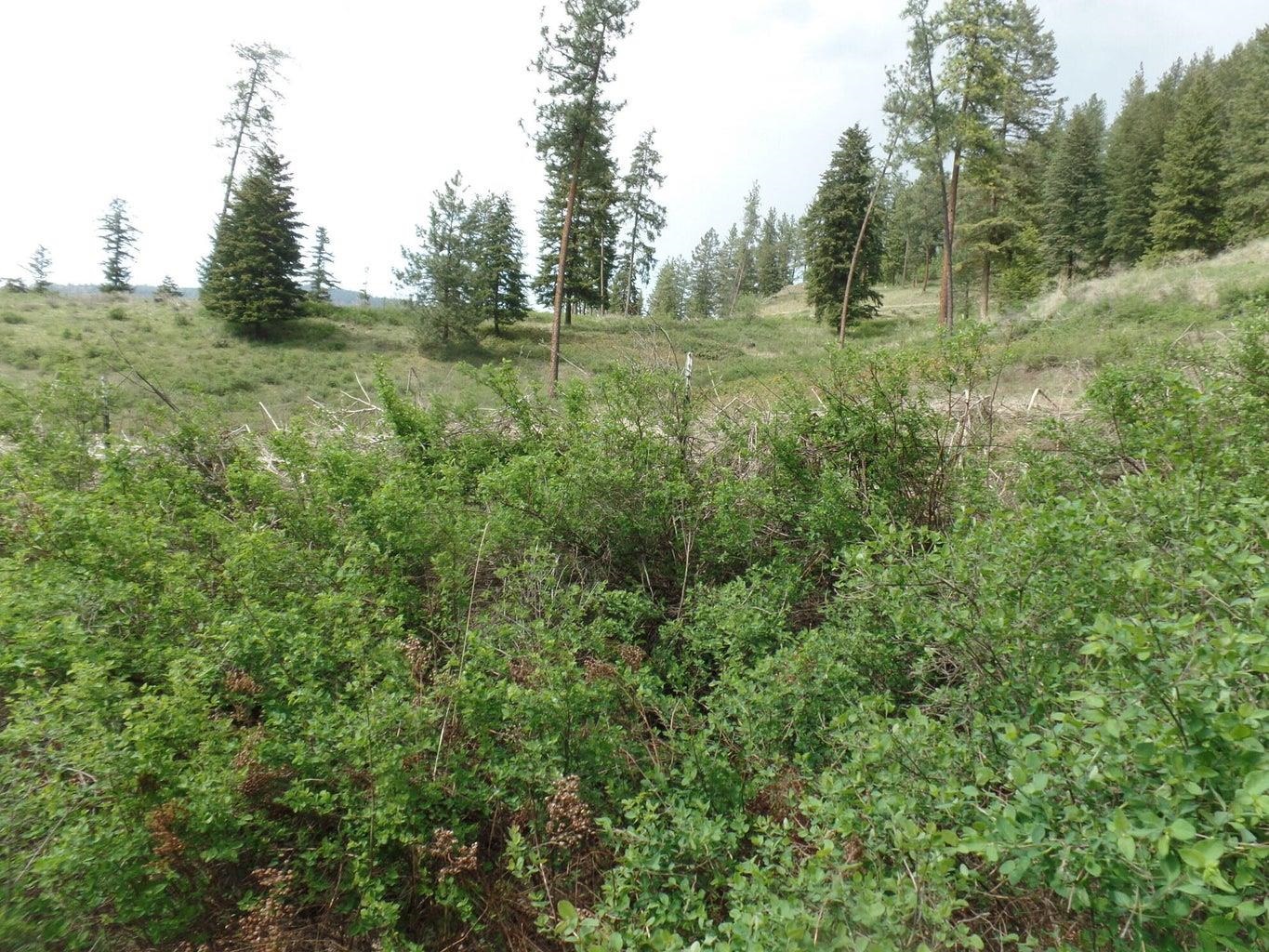 2XX Hwy 395 N #A Hwy - Photo 20
