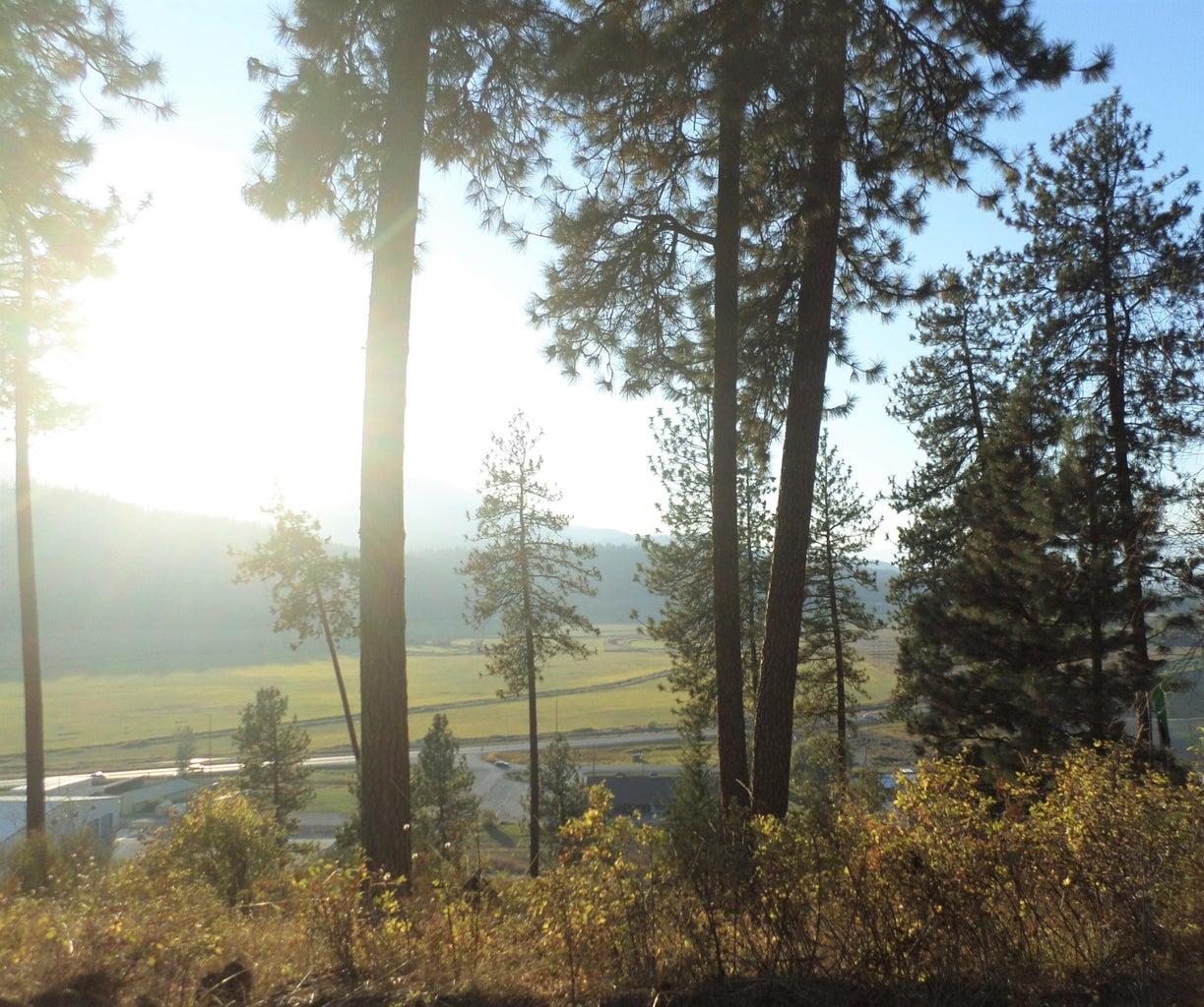 2XX Hwy 395 N #A Hwy - Photo 5