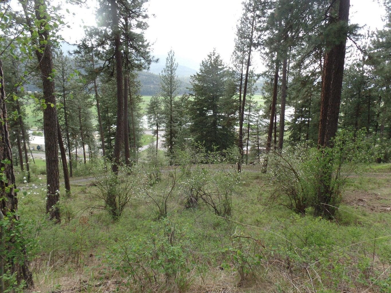 2XX Hwy 395 N #A Hwy - Photo 9