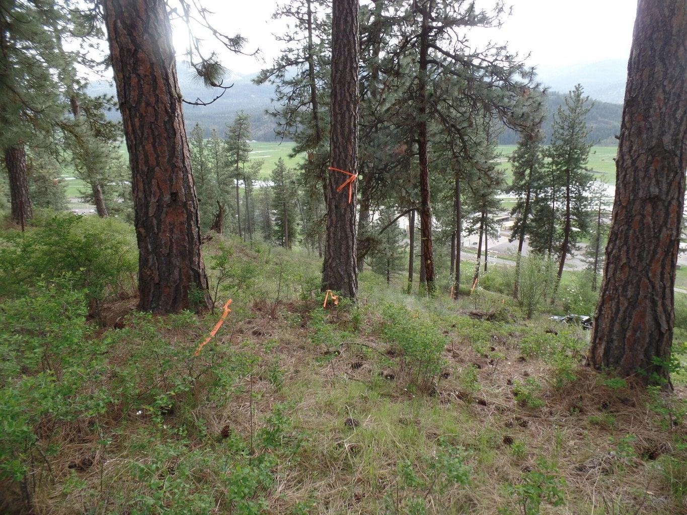 2XX Hwy 395 N #A Hwy - Photo 10