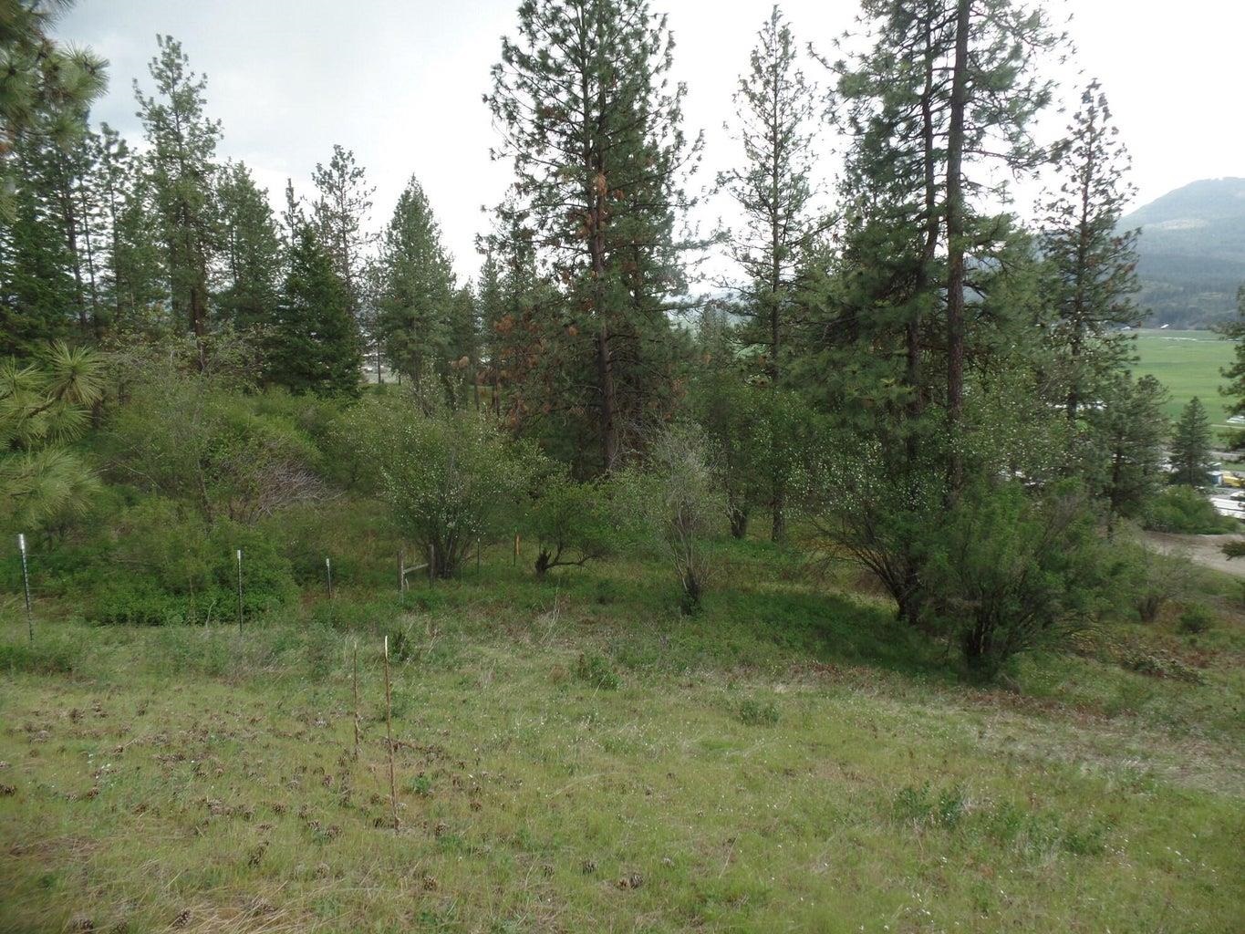 2XX N Hwy 395 #B Hwy - Photo 11