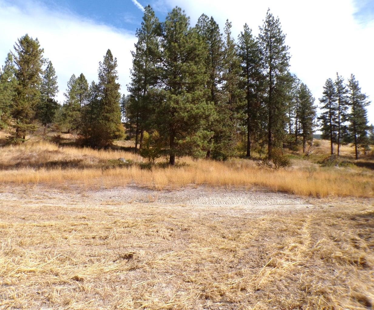 2XX HWY 395 #C Hwy - Photo 22
