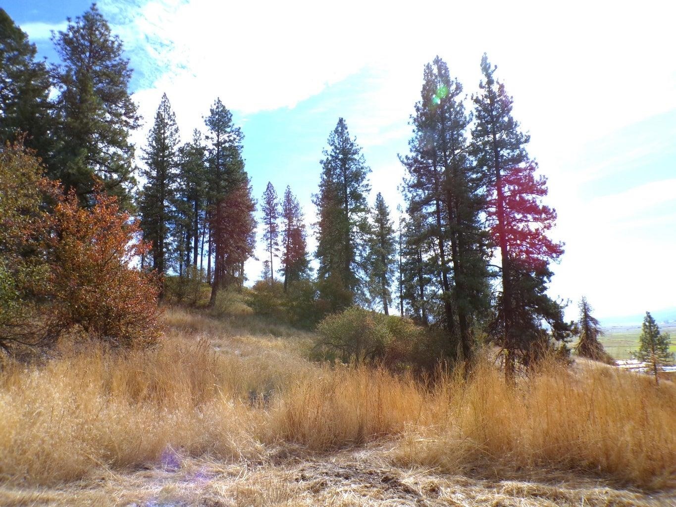 2XX HWY 395 #C Hwy - Photo 23