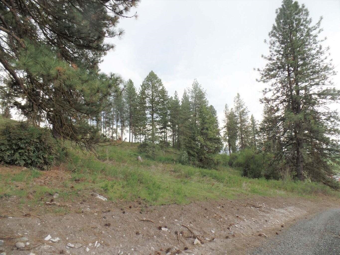 2XX HWY 395 #C Hwy - Photo 10