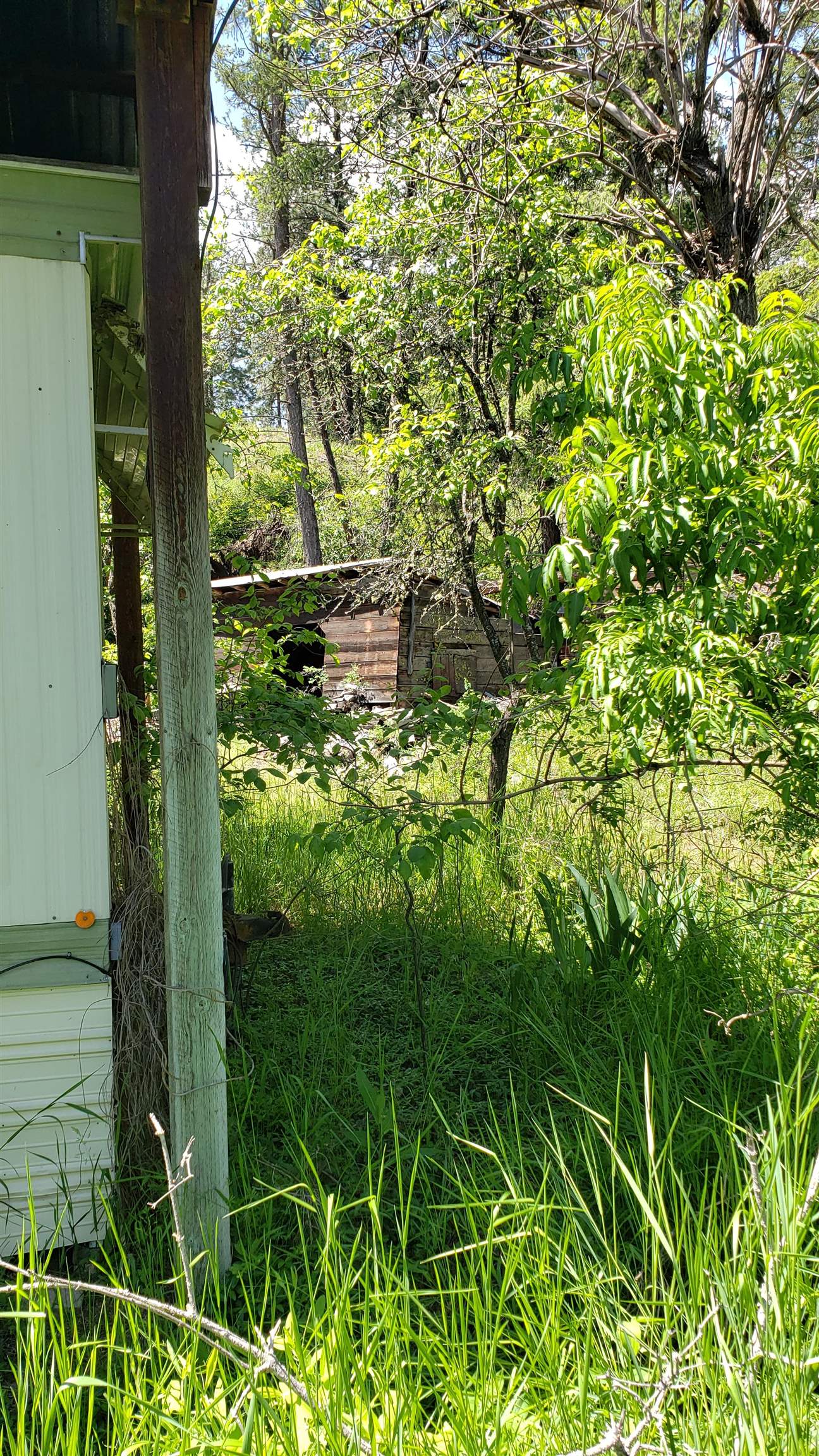 25055 395 N. Hwy - Photo 12