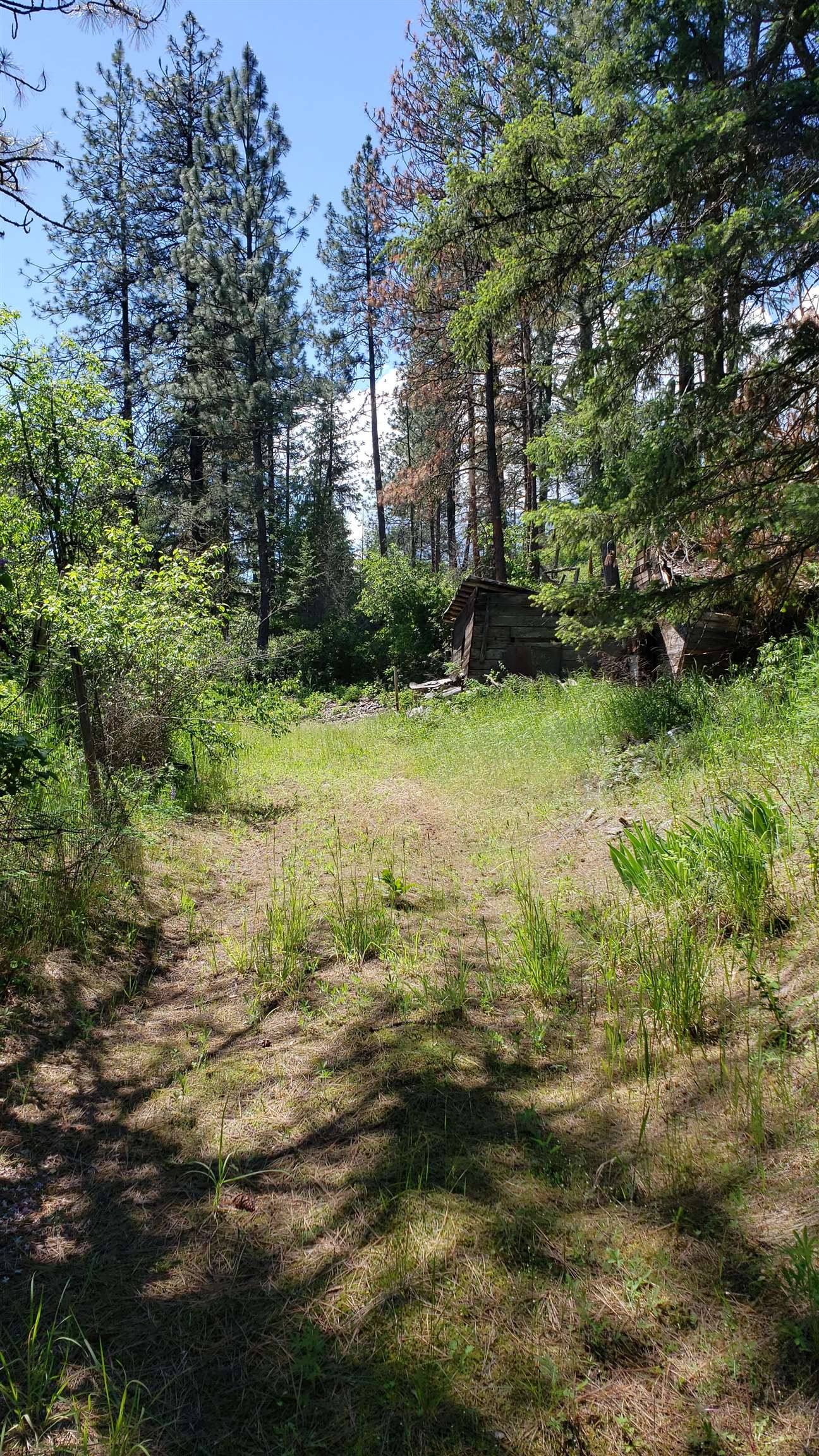 25055 395 N. Hwy - Photo 13