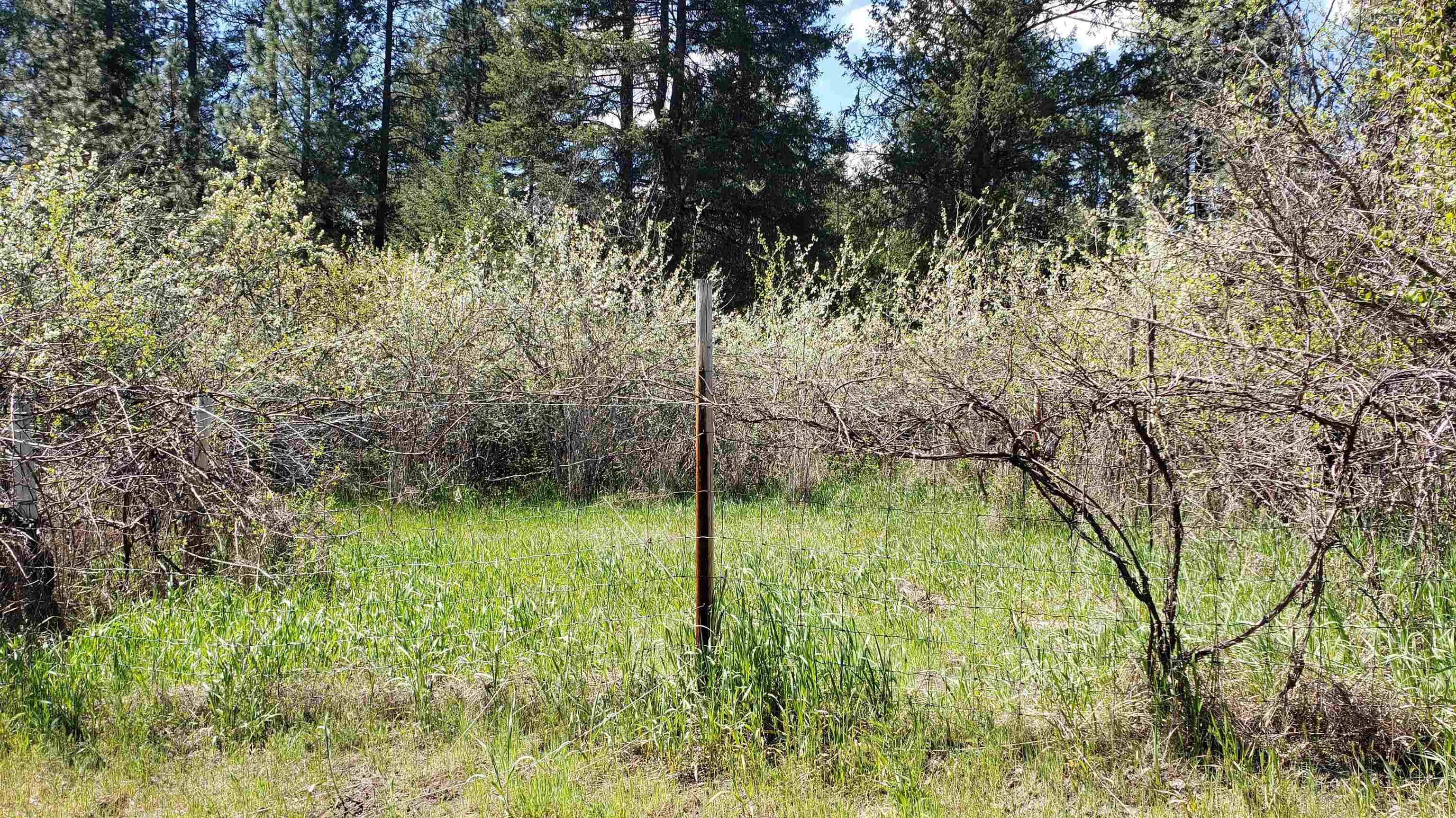 25055 395 N. Hwy - Photo 3