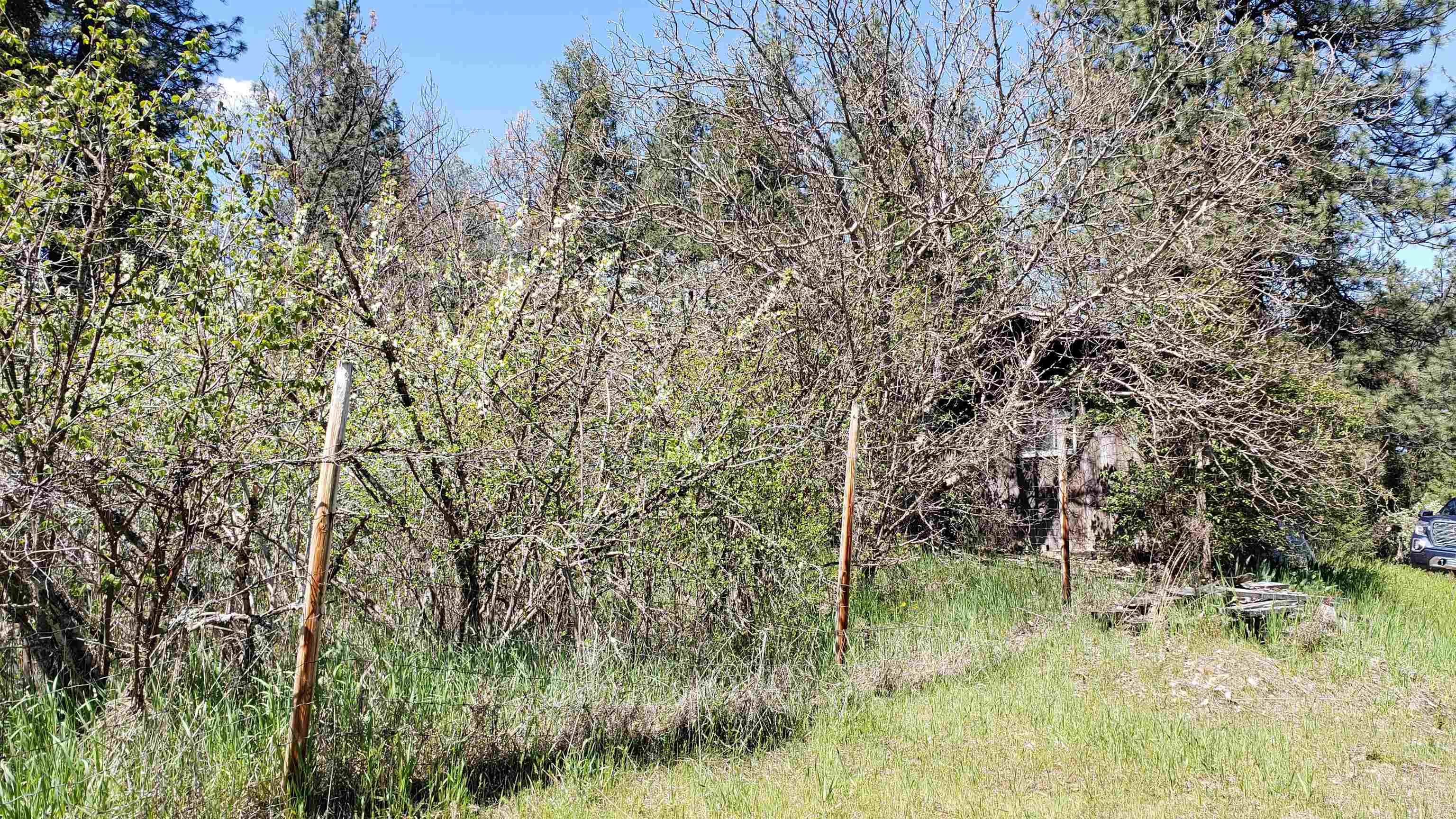 25055 395 N. Hwy - Photo 4