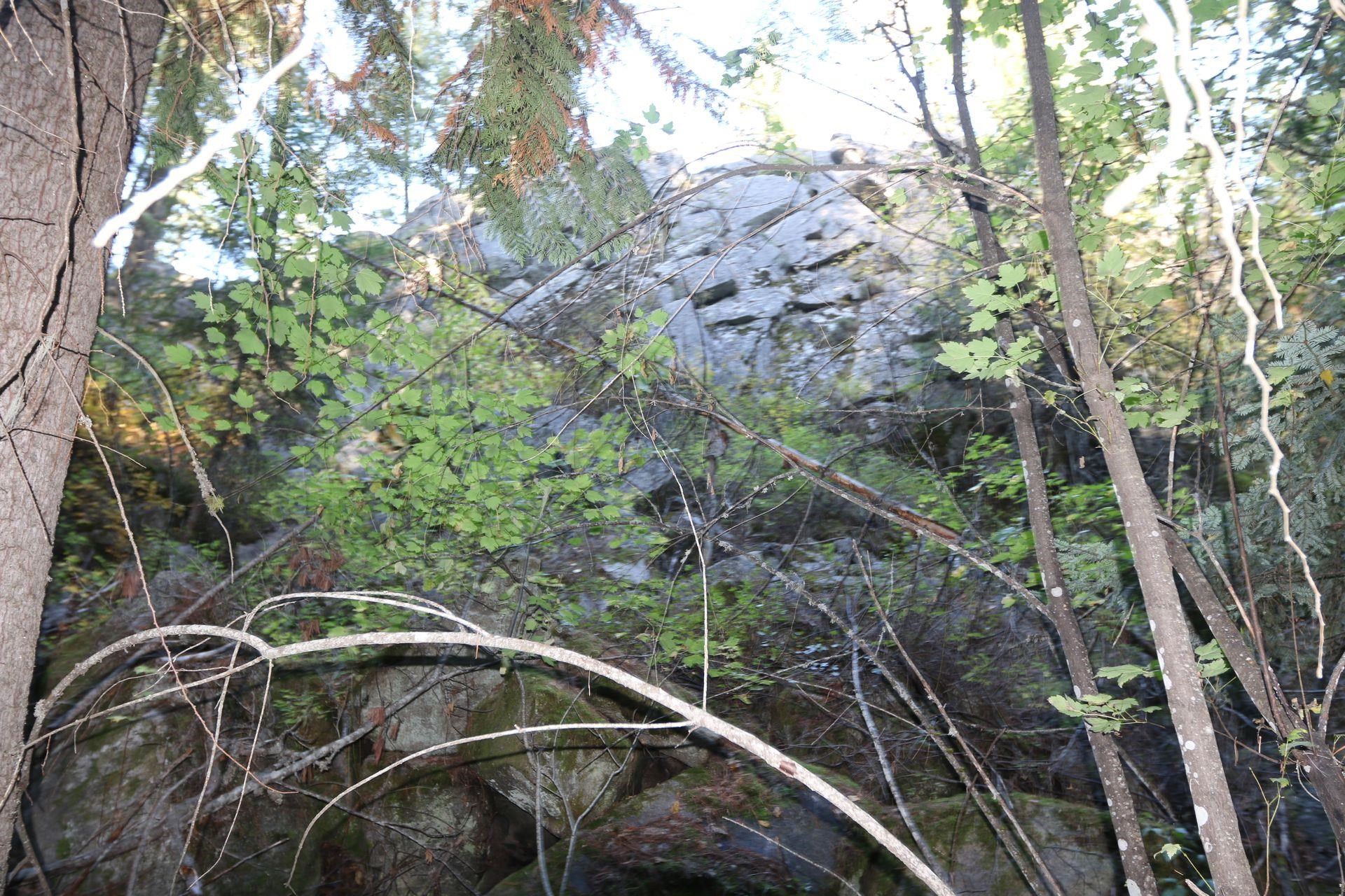 7289 Fertile Valley Rd - Photo 2