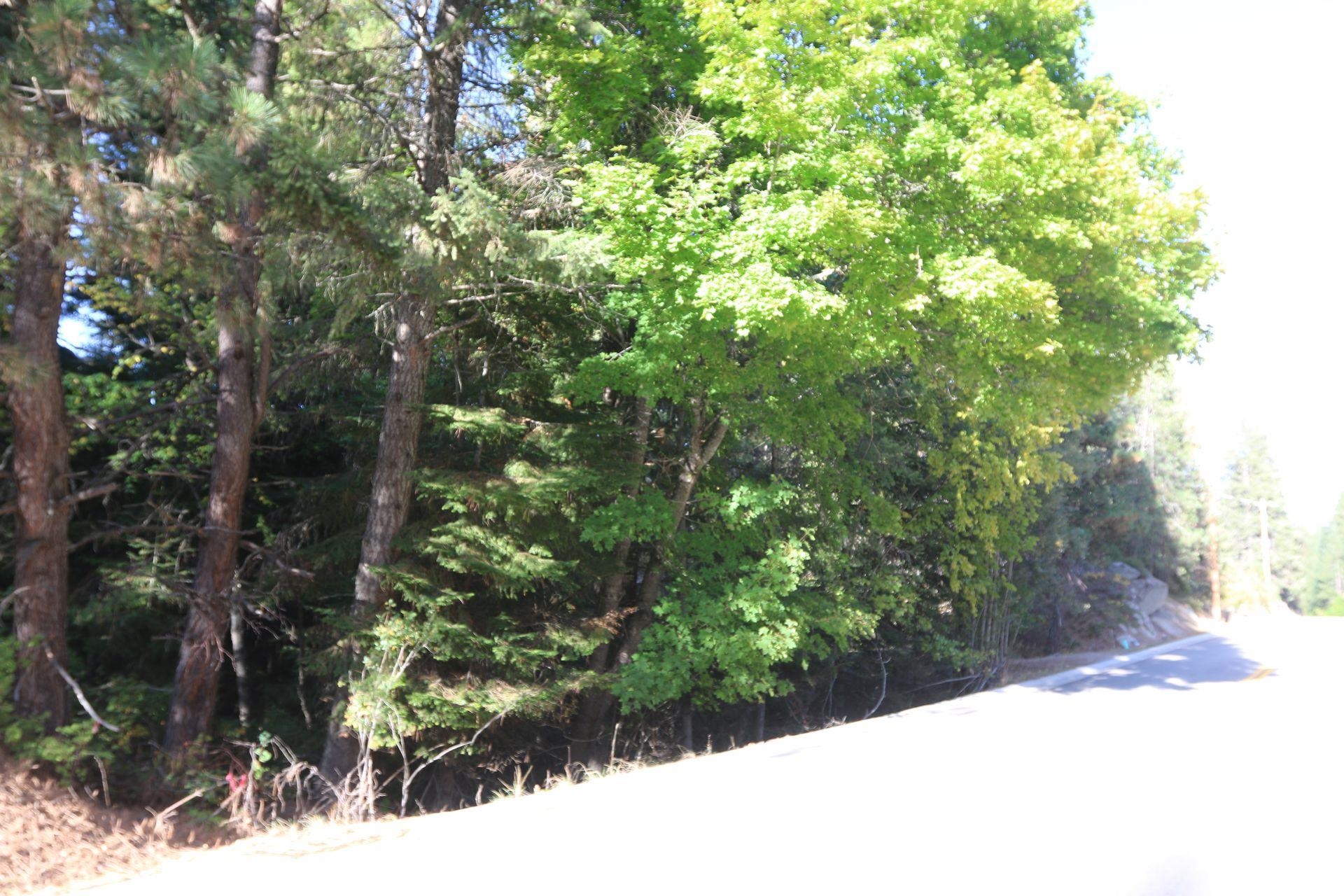 7289 Fertile Valley Rd - Photo 3