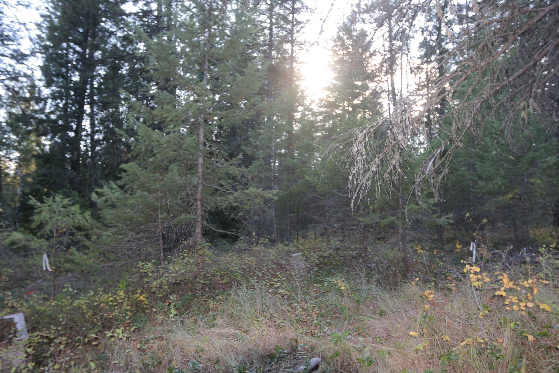 7289 Fertile Valley Rd - Photo 6