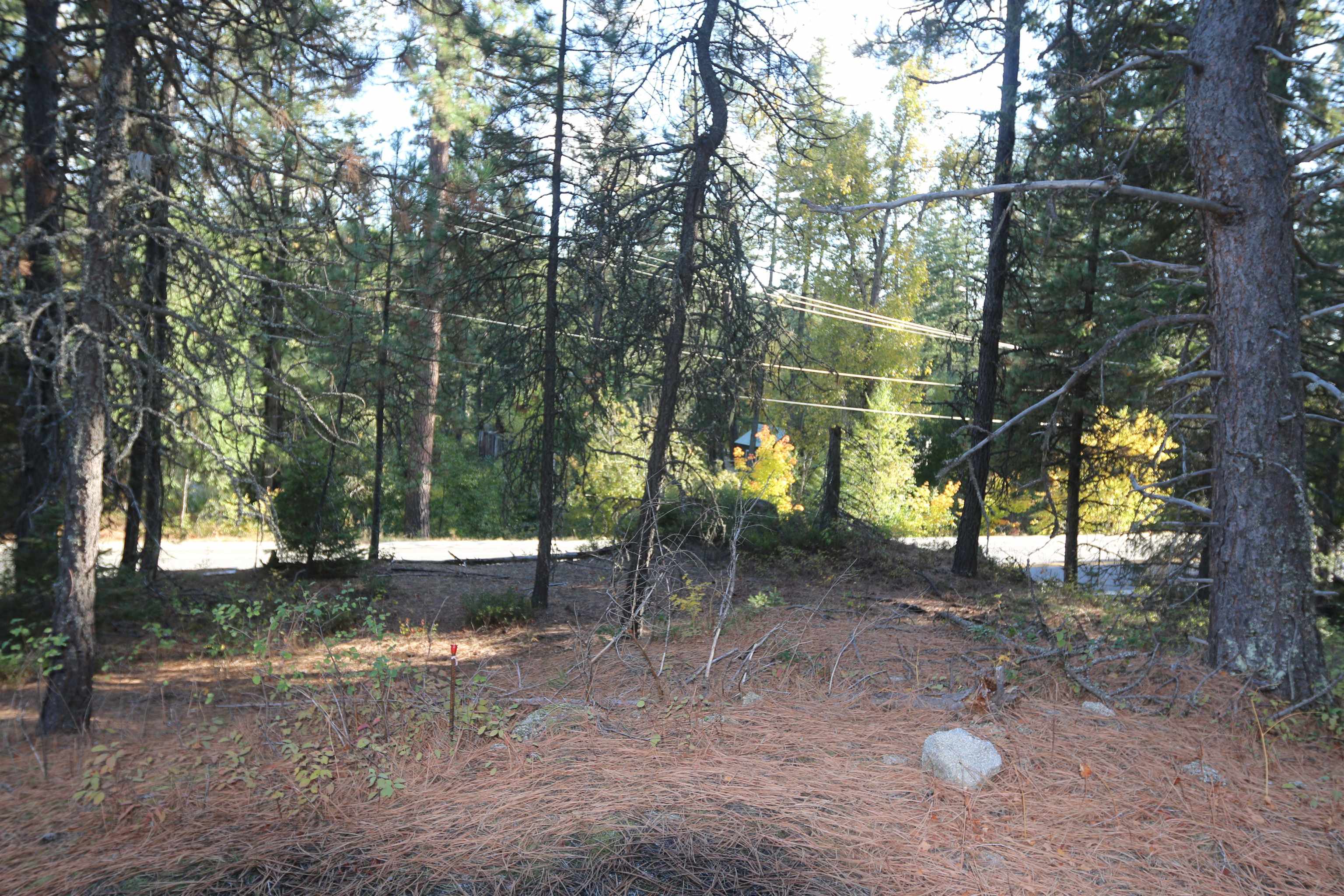 7289 Fertile Valley Rd - Photo 7