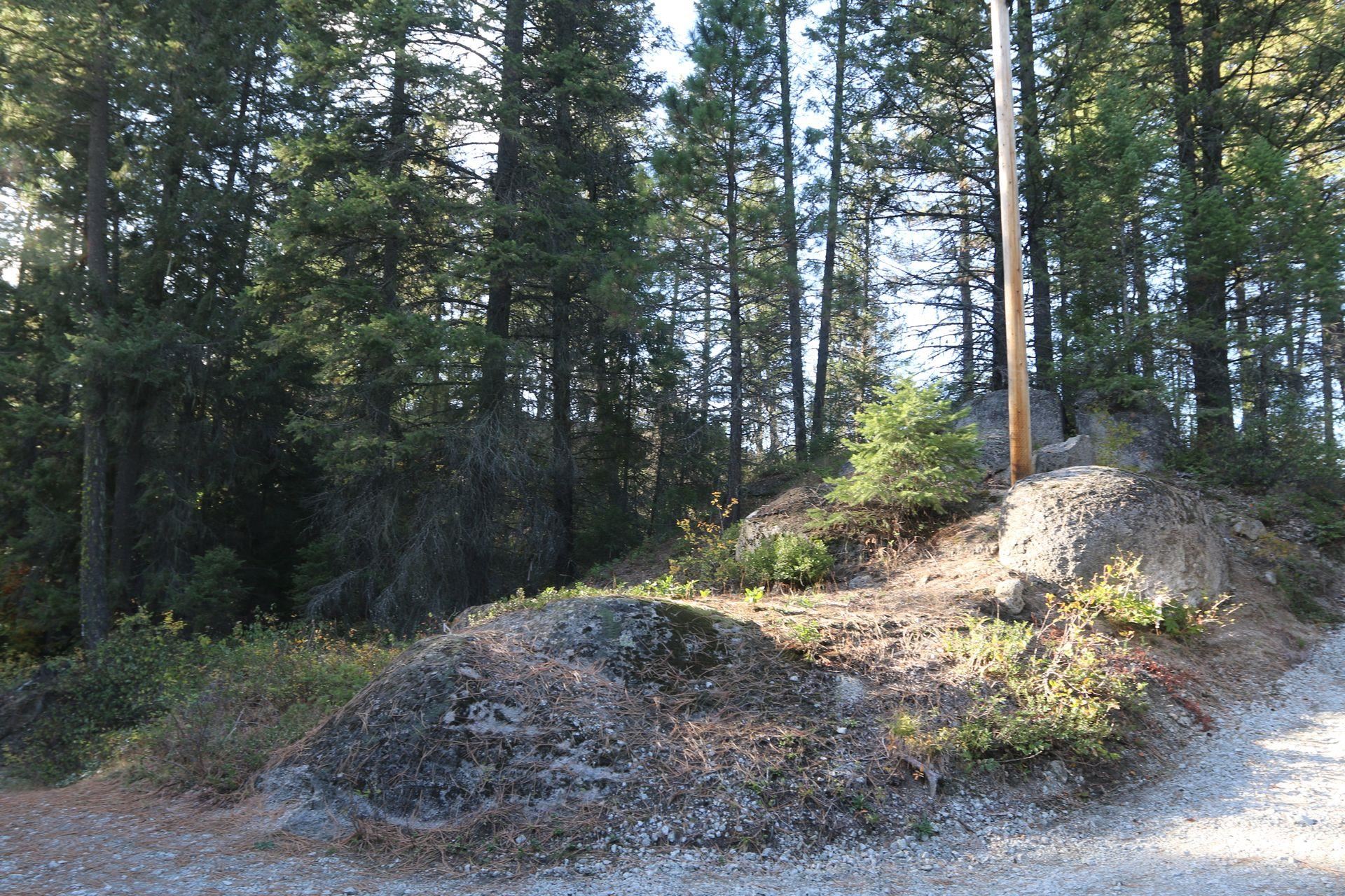 7289 Fertile Valley Rd - Photo 8