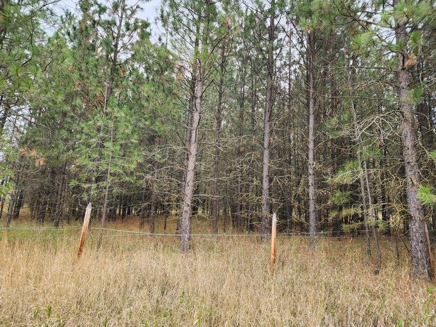 TBD S Elm St - Photo 16