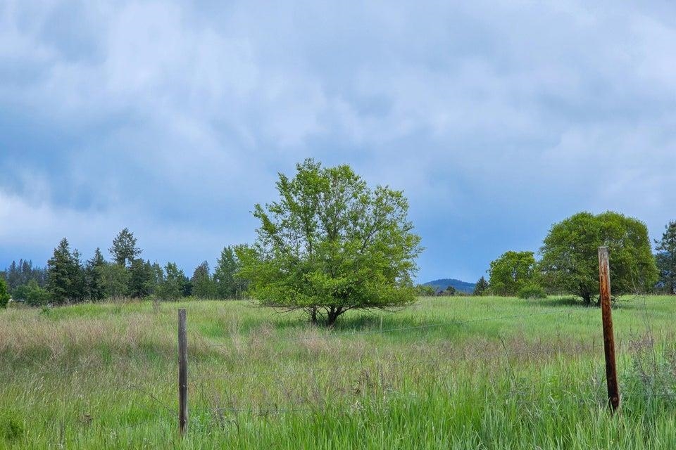 TBD S Elm St - Photo 4