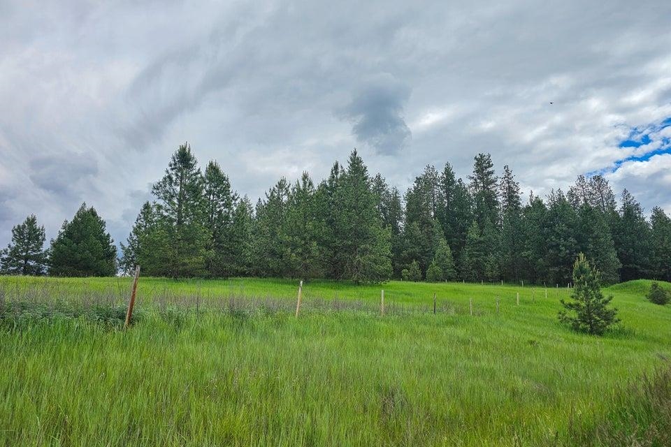 TBD S Elm St - Photo 5