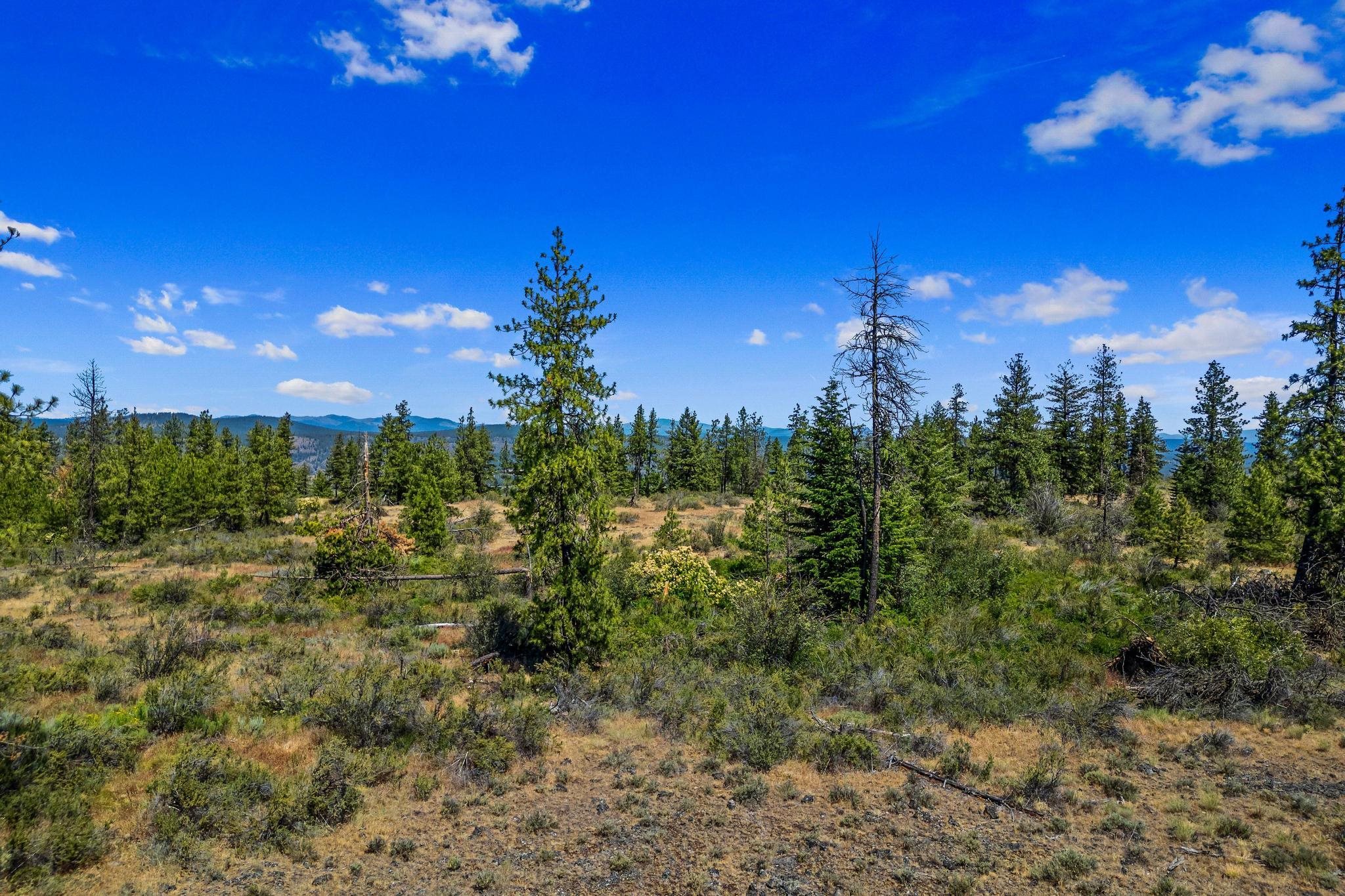 51200 E Whispering Pines Dr - Photo 1