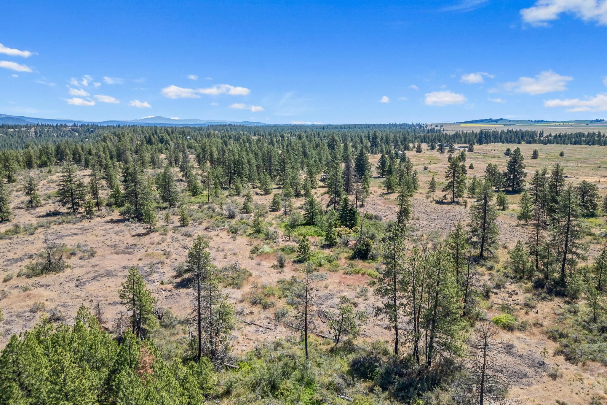 51200 E Whispering Pines Dr - Photo 11