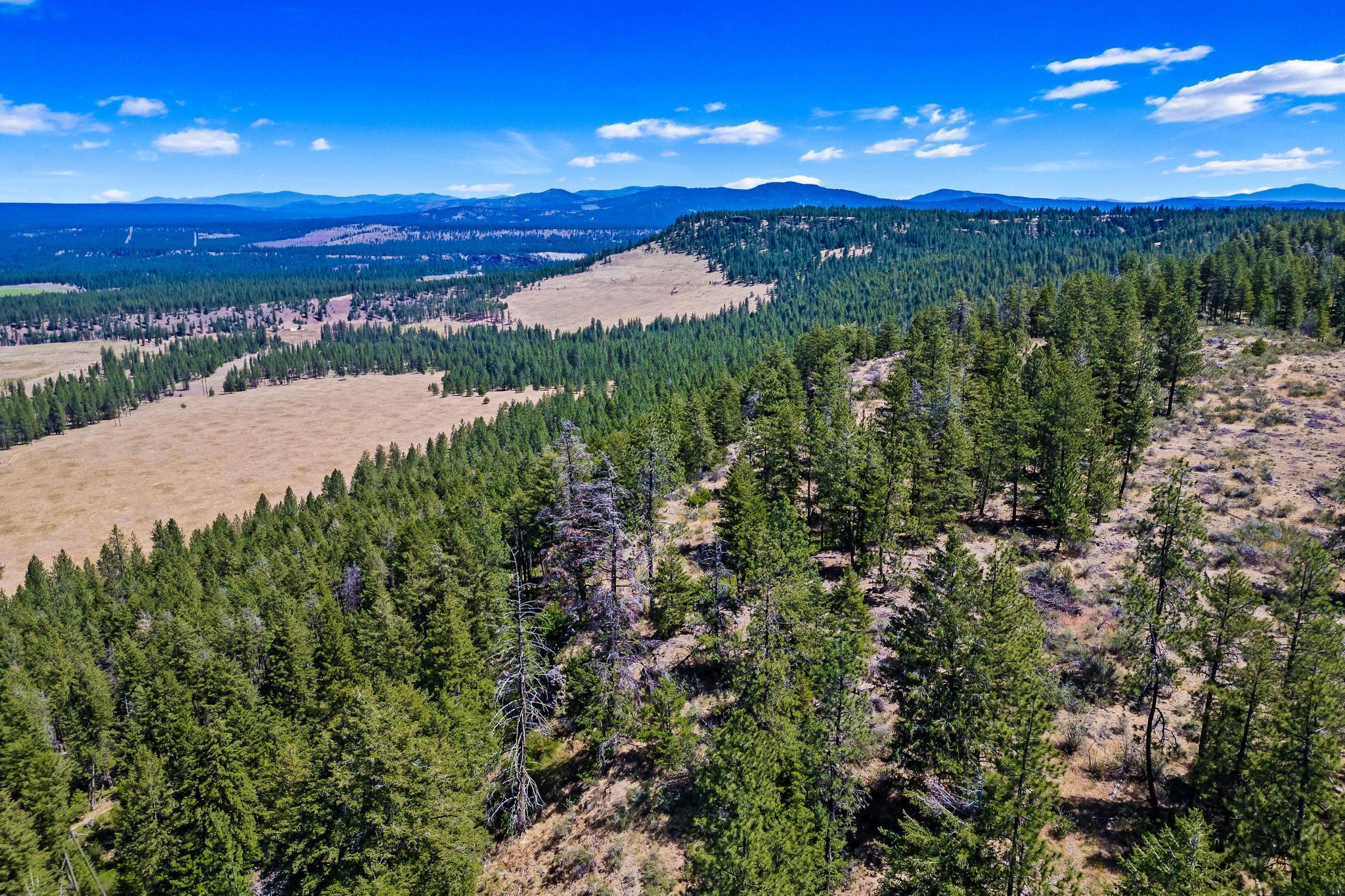 51200 E Whispering Pines Dr - Photo 12