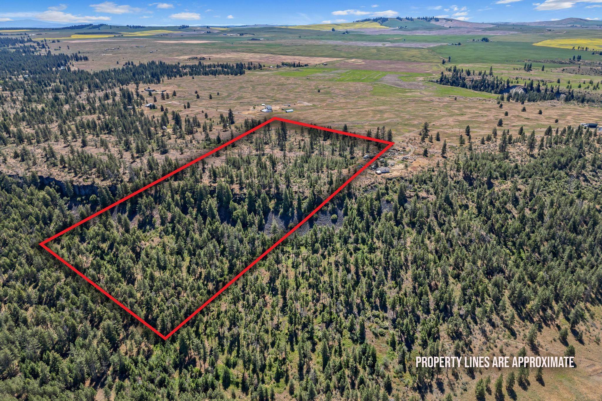 51200 E Whispering Pines Dr - Photo 15