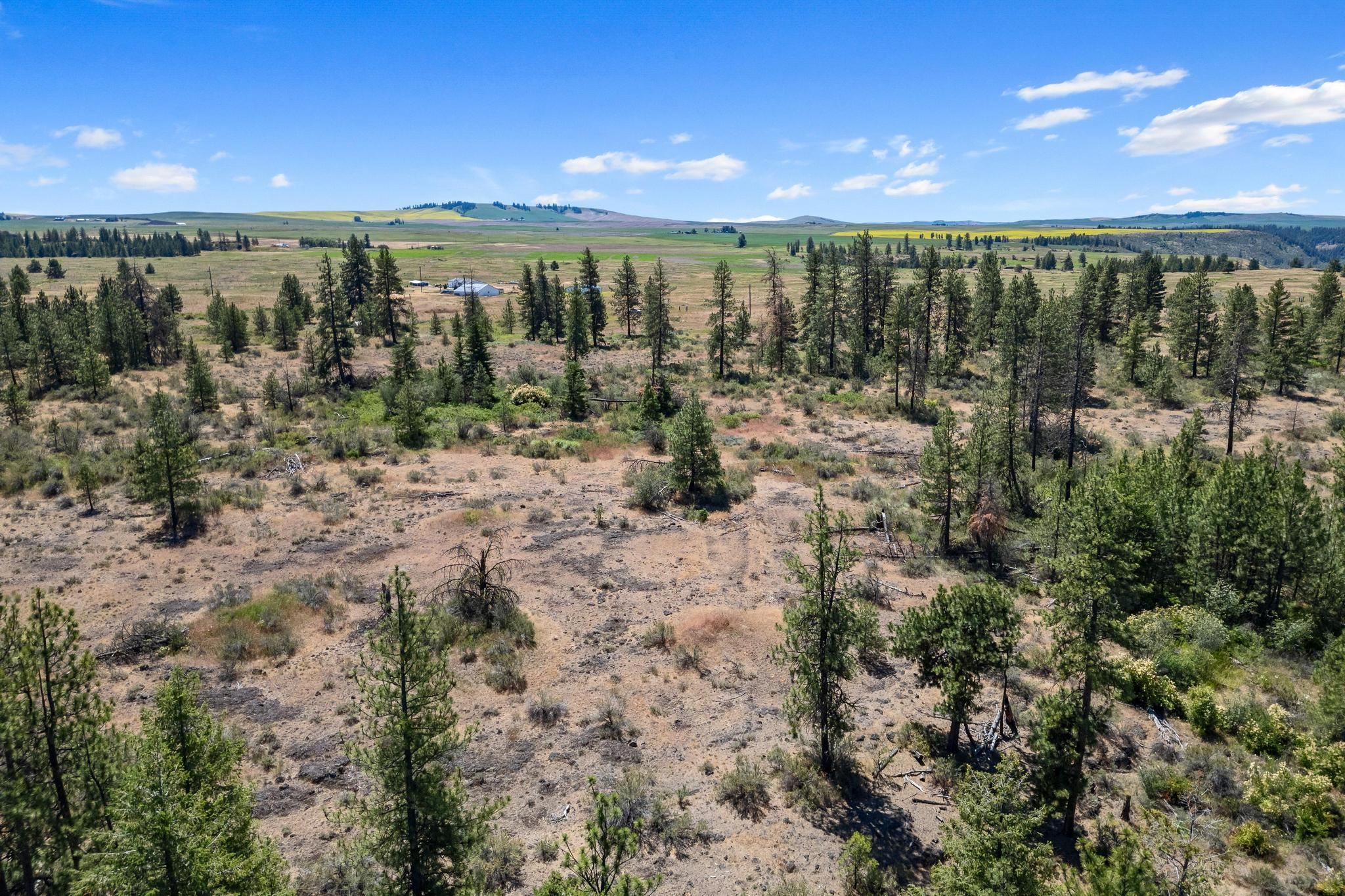 51200 E Whispering Pines Dr - Photo 8