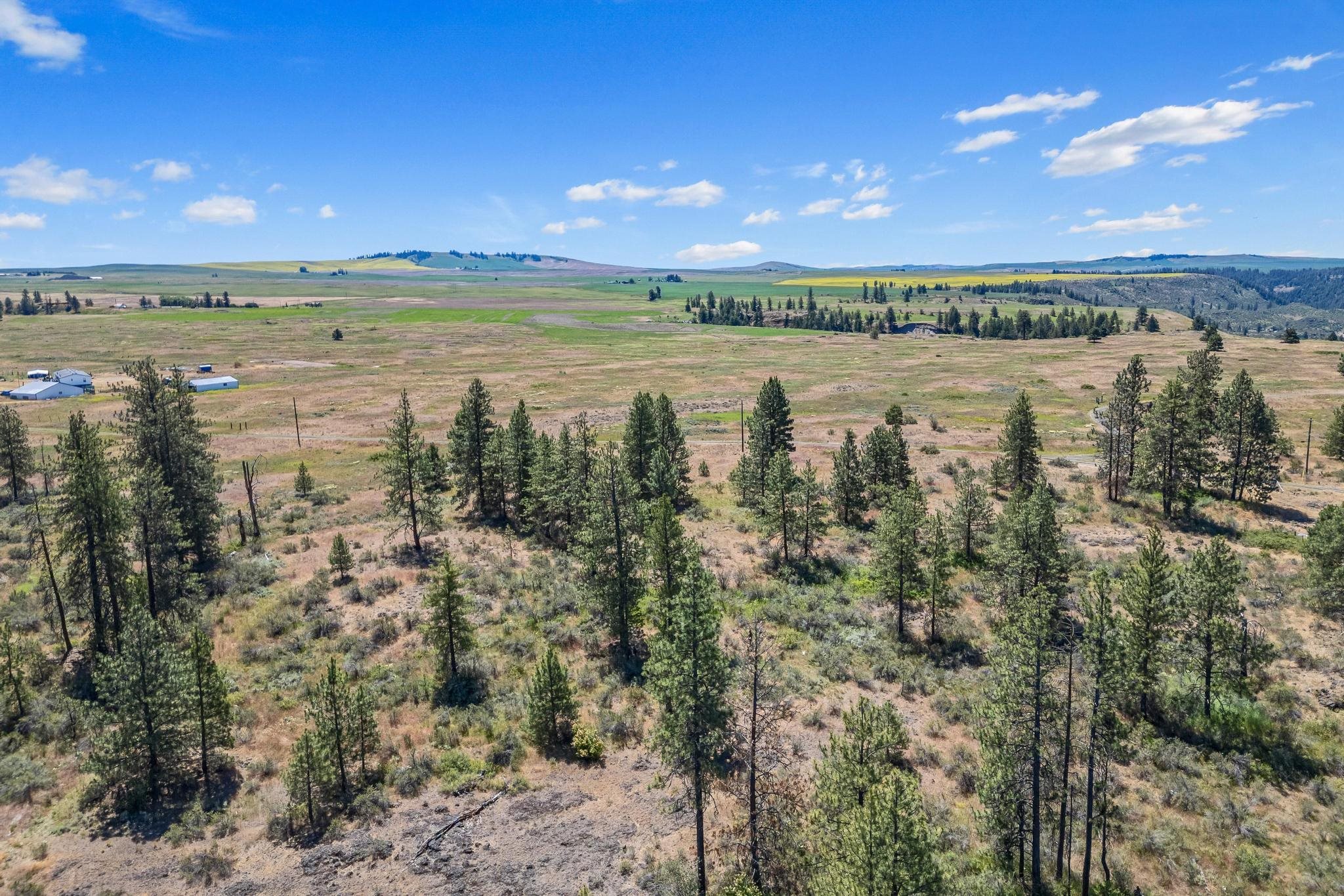 51200 E Whispering Pines Dr - Photo 10