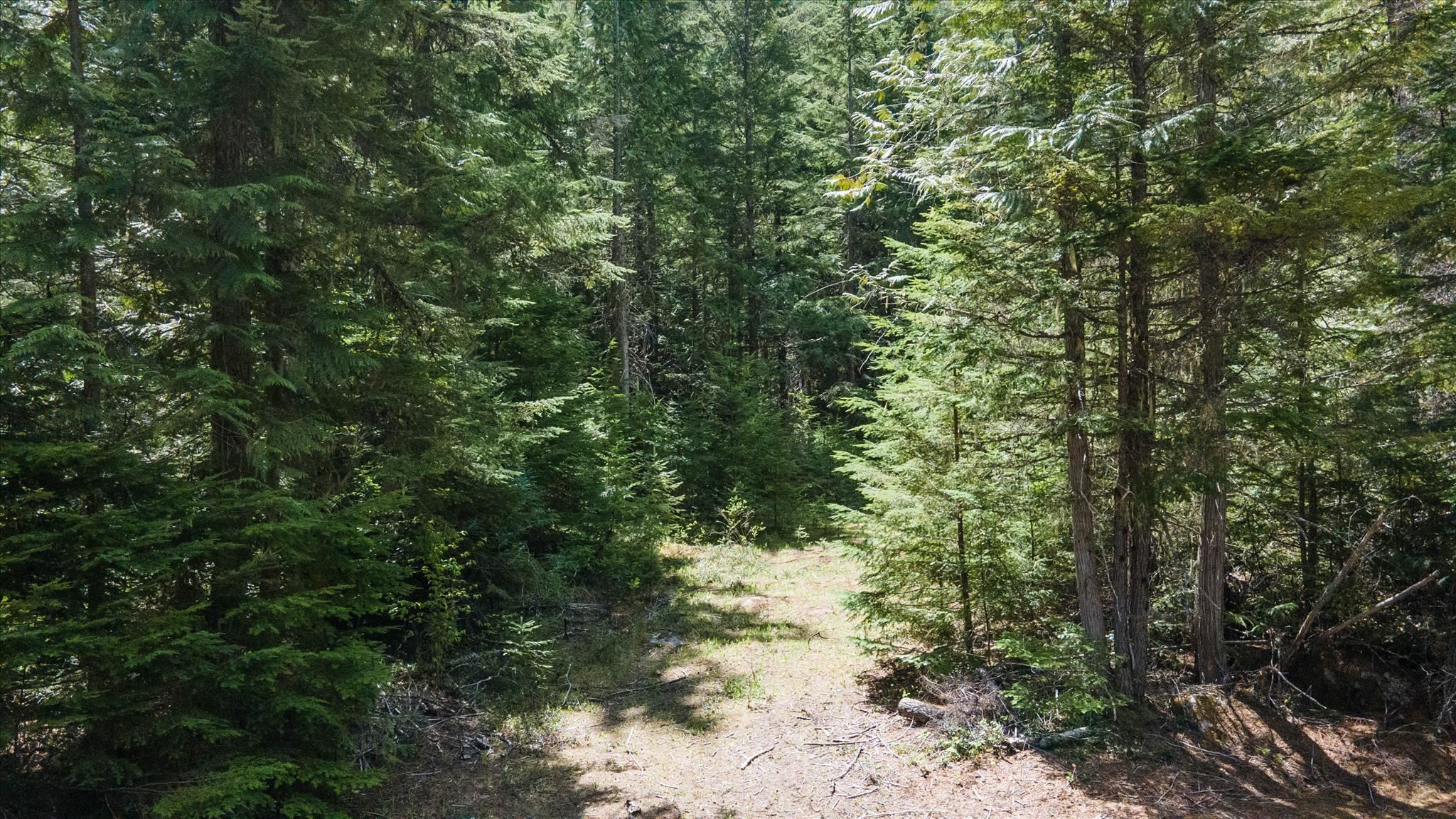 671 Osprey Dr - Photo 13