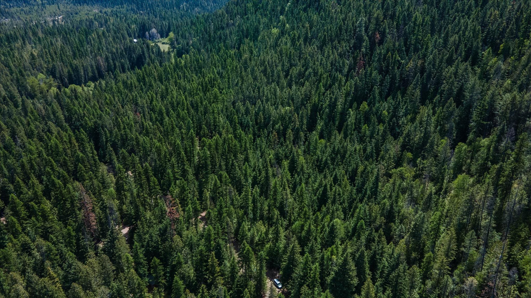671 Osprey Dr - Photo 8