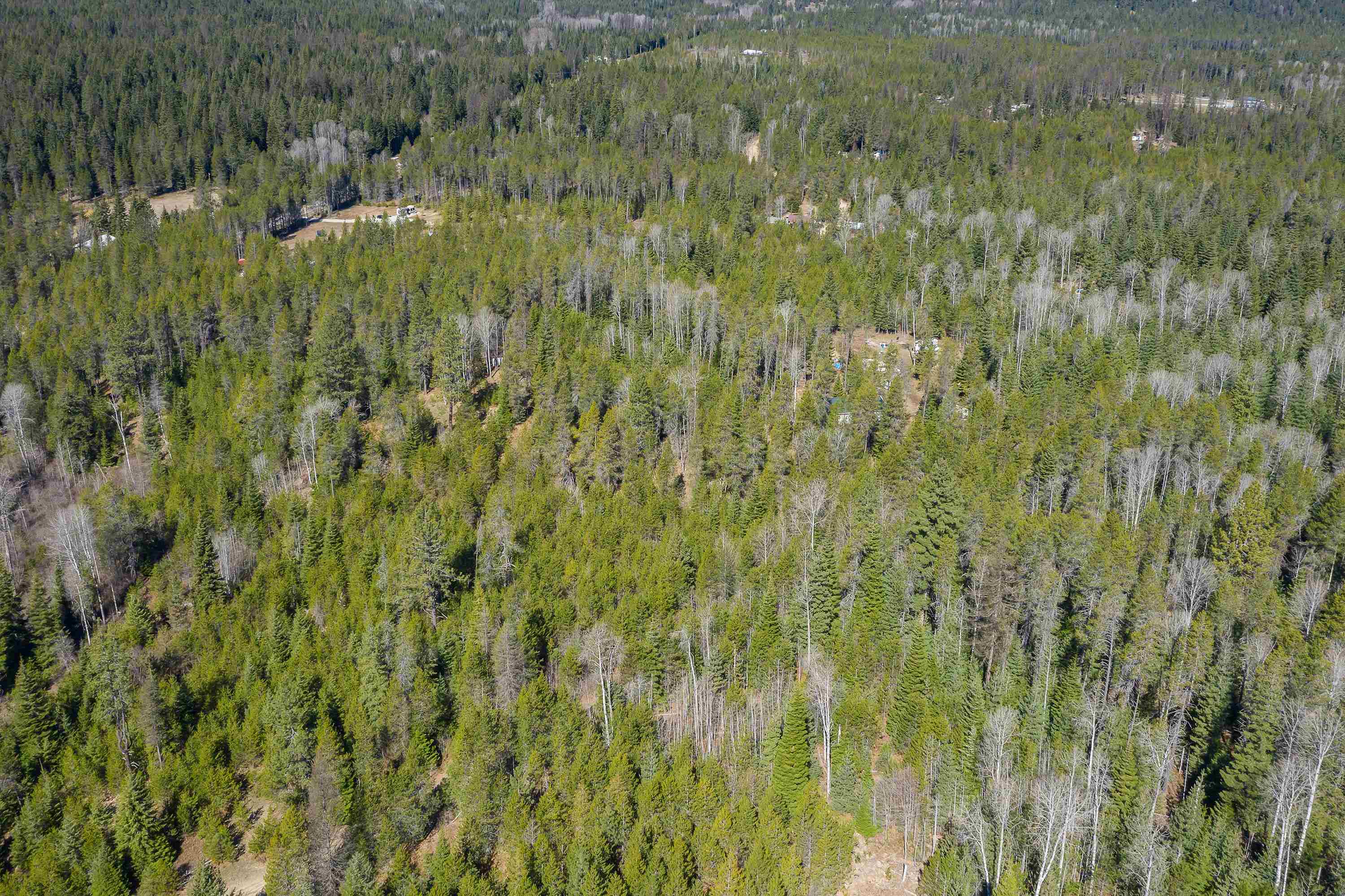 1232 Vista Dr - Photo 3