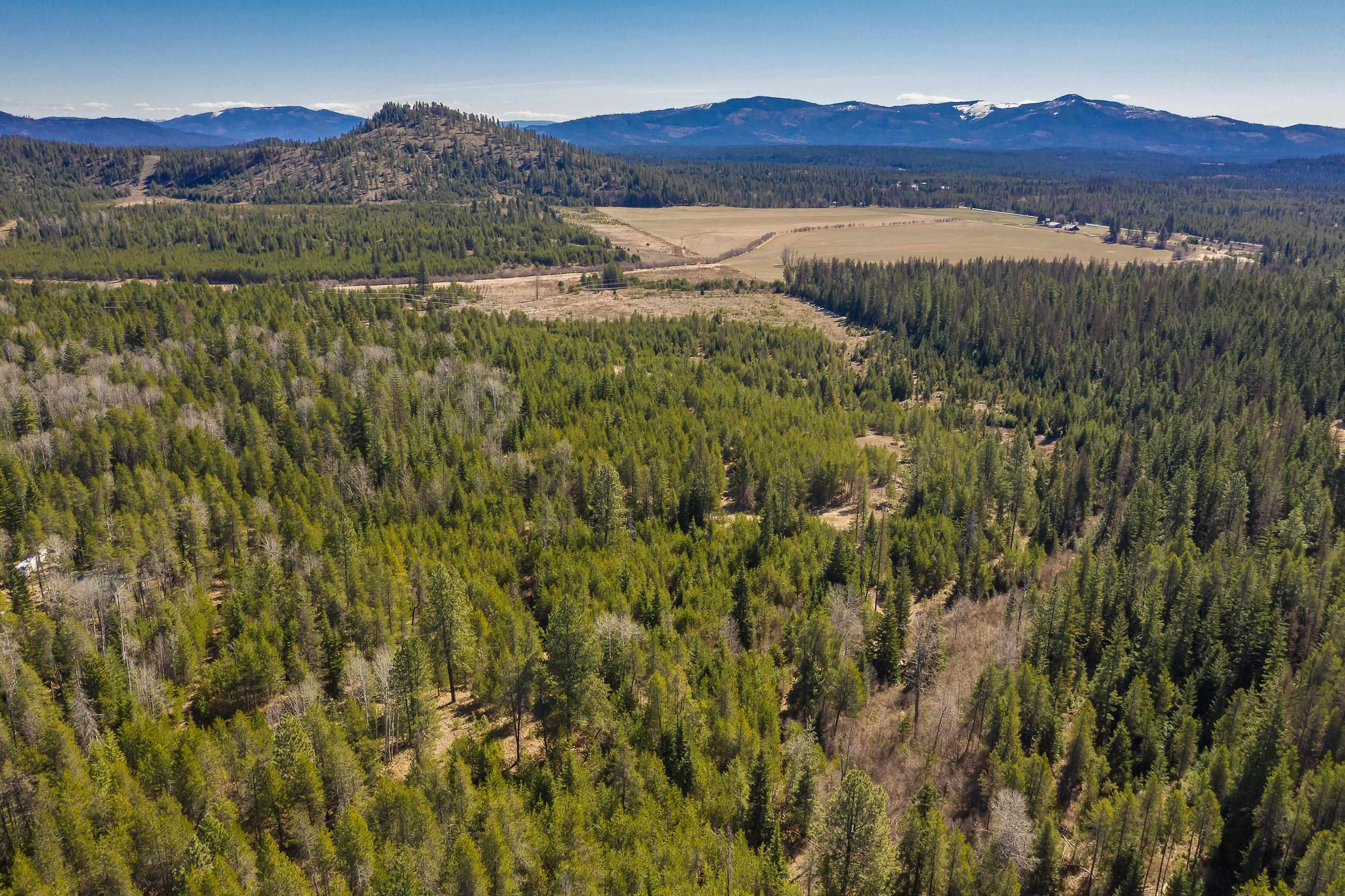 1232 Vista Dr - Photo 8