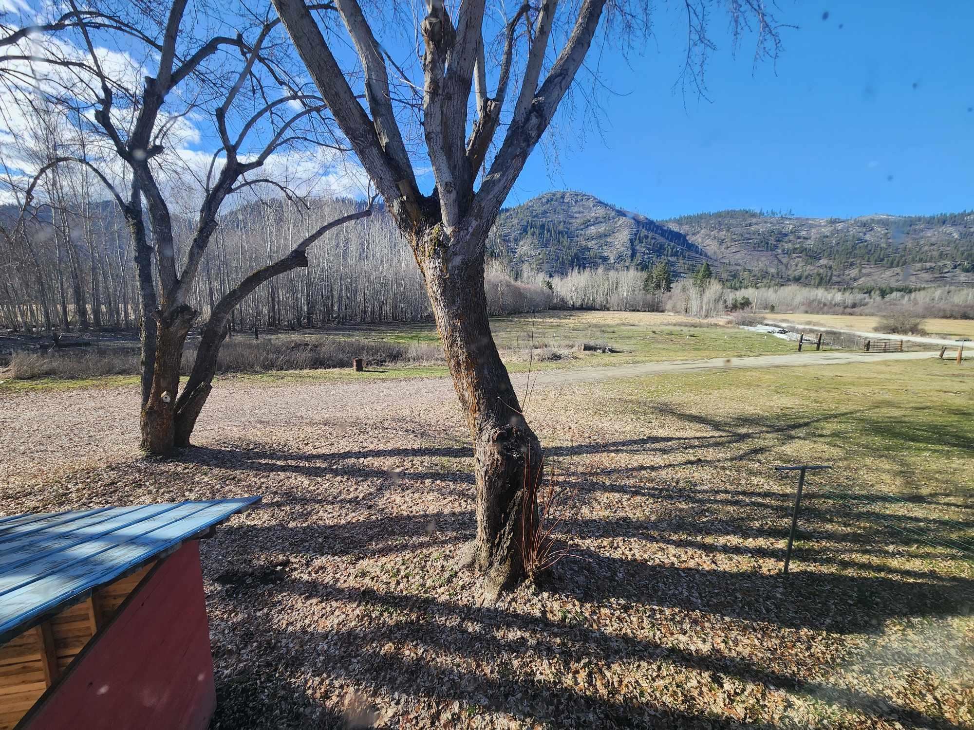 54 Bridge Creek Rd - Photo 50