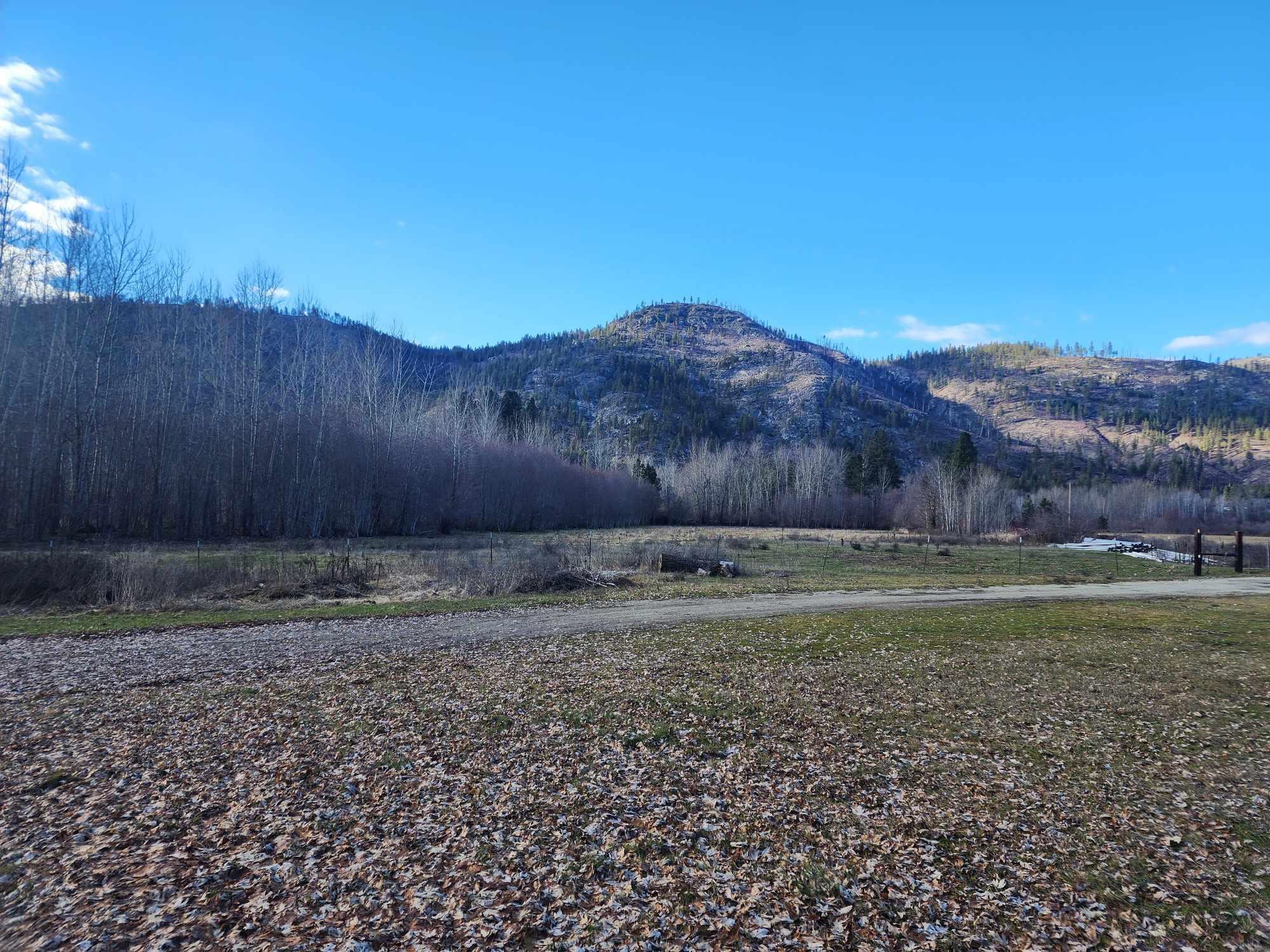 54 Bridge Creek Rd - Photo 8