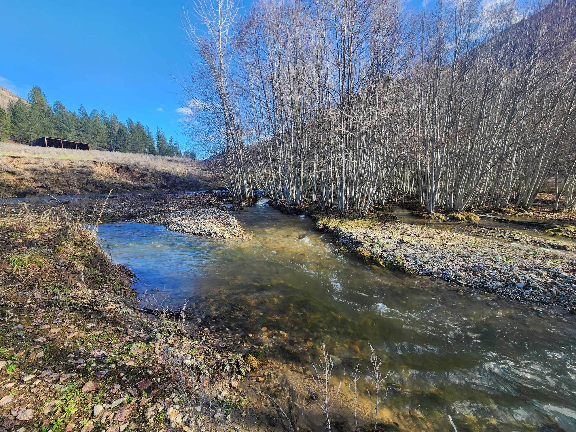 54 Bridge Creek Rd - Photo 9