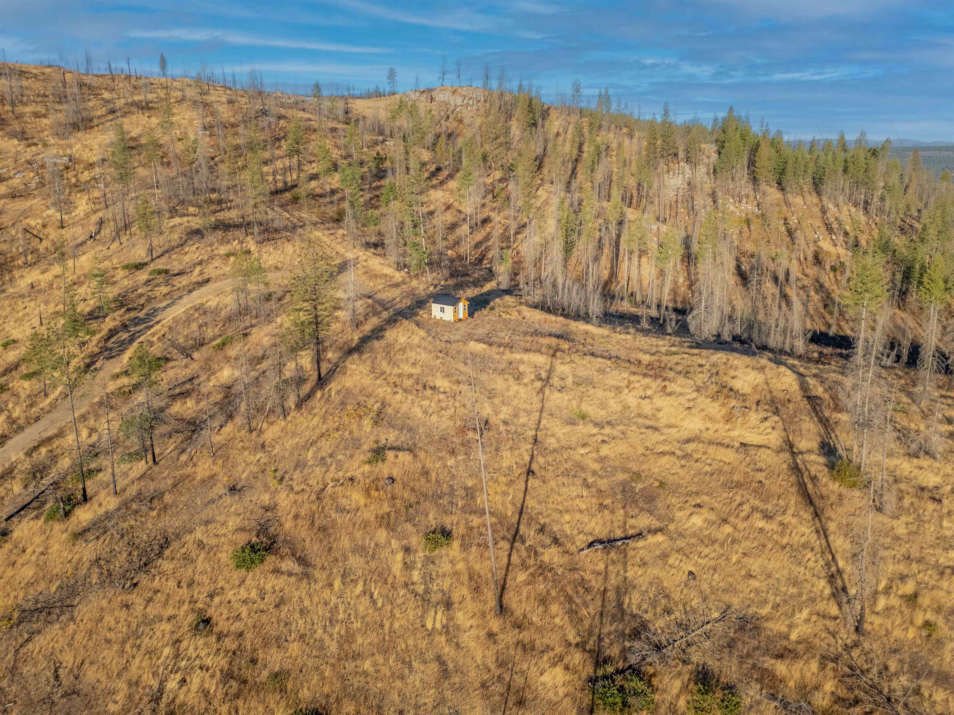 Lot 11 Rail Canyon Rd - Photo 2