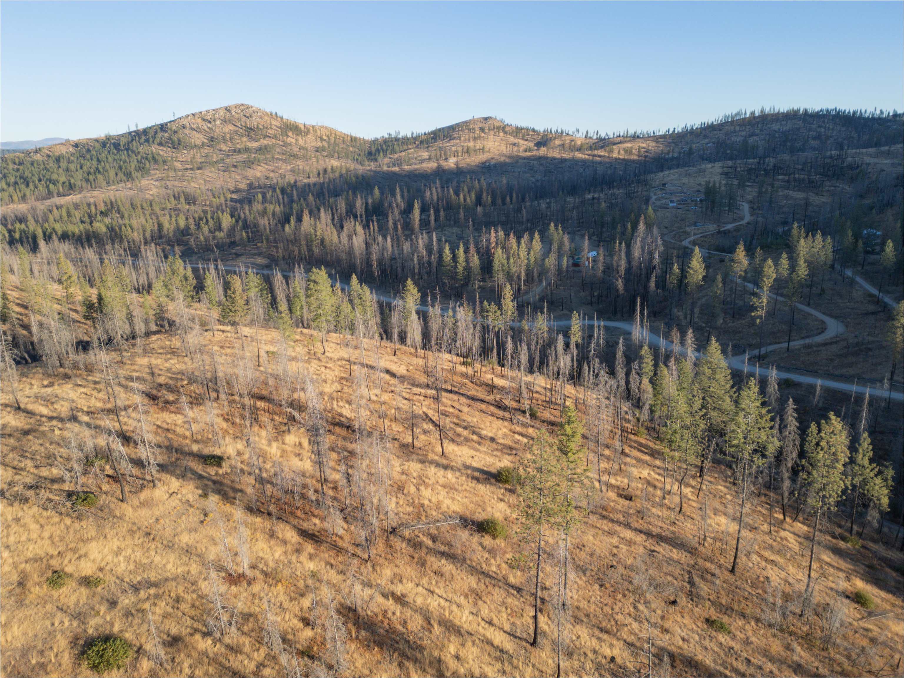 Lot 11 Rail Canyon Rd - Photo 3