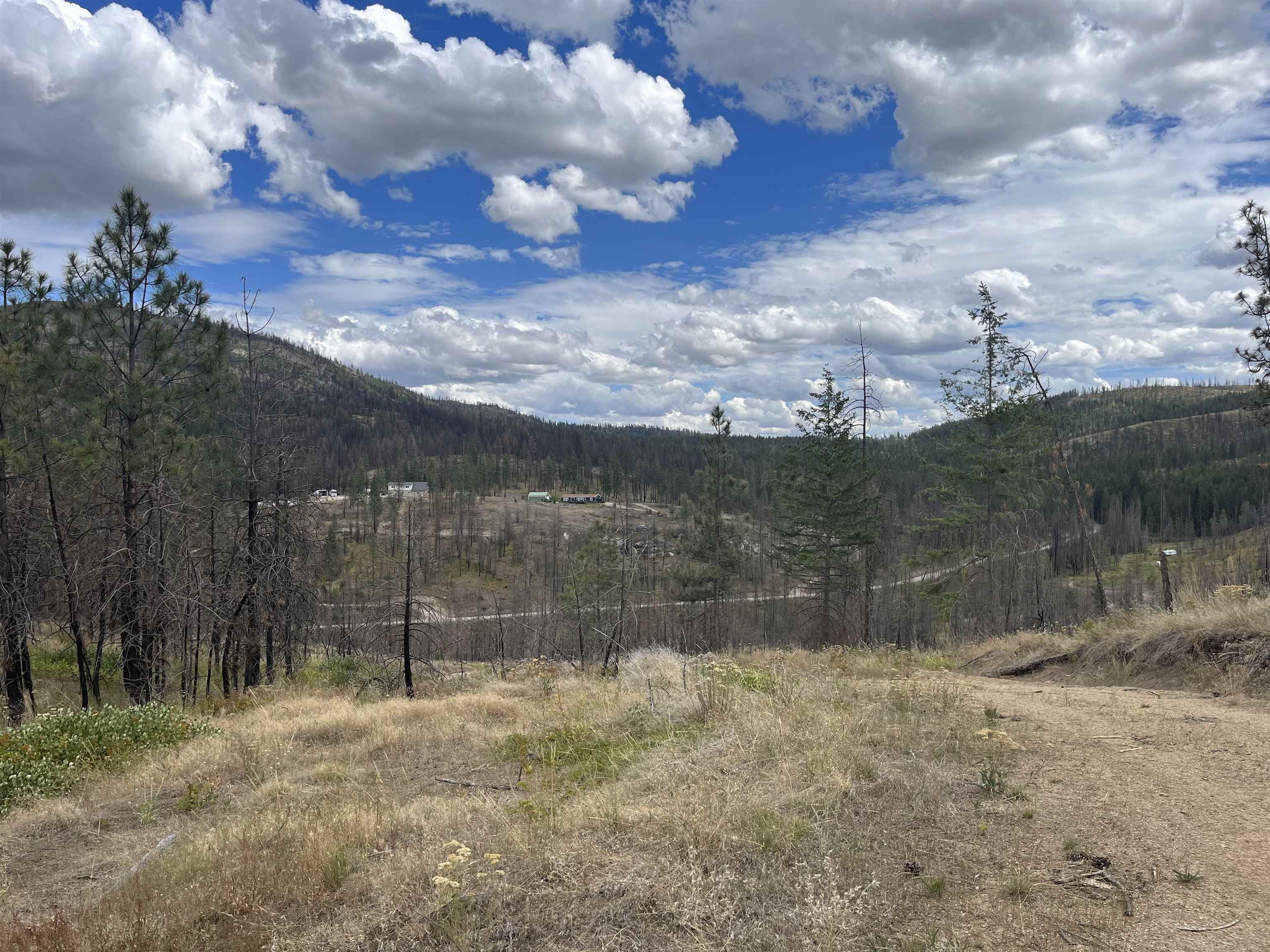 Lot 11 Rail Canyon Rd - Photo 7