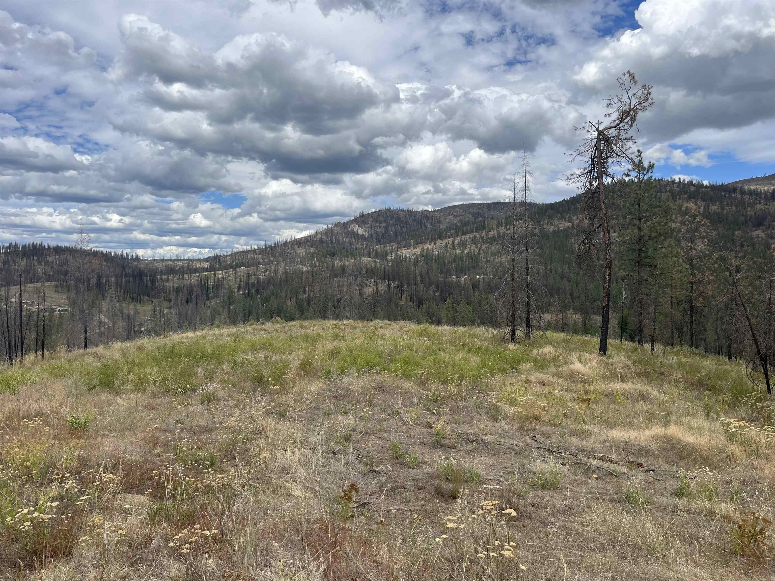 Lot 11 Rail Canyon Rd - Photo 8